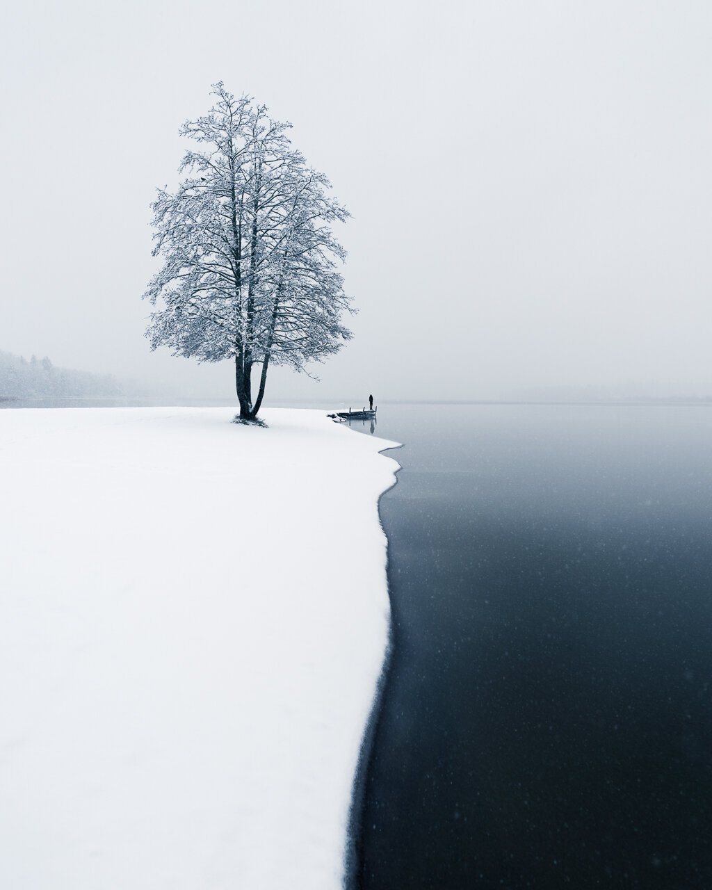 Mikko-Lagerstedt-First-Snow.jpg
