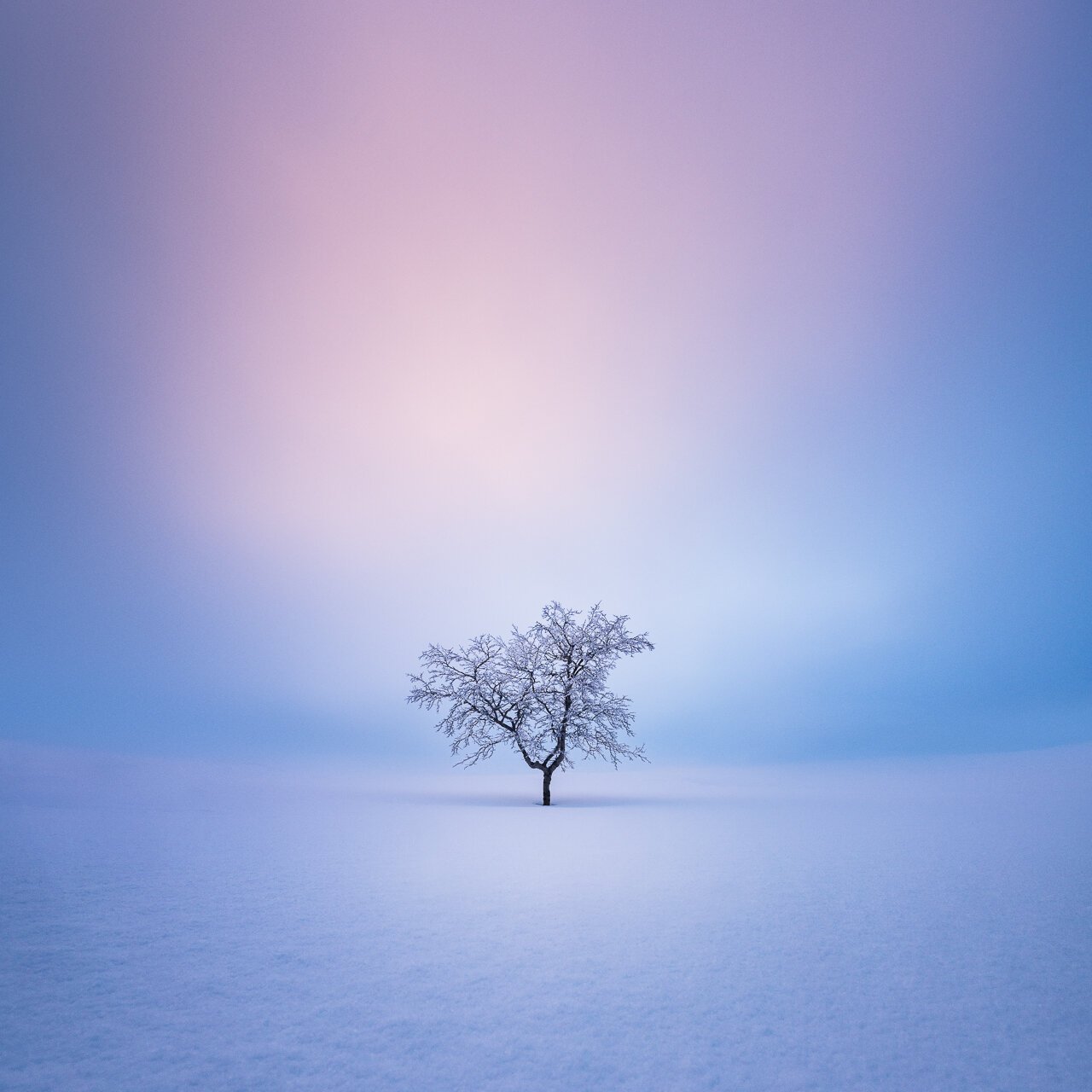 Mikko-Lagerstedt-Solitude.jpg