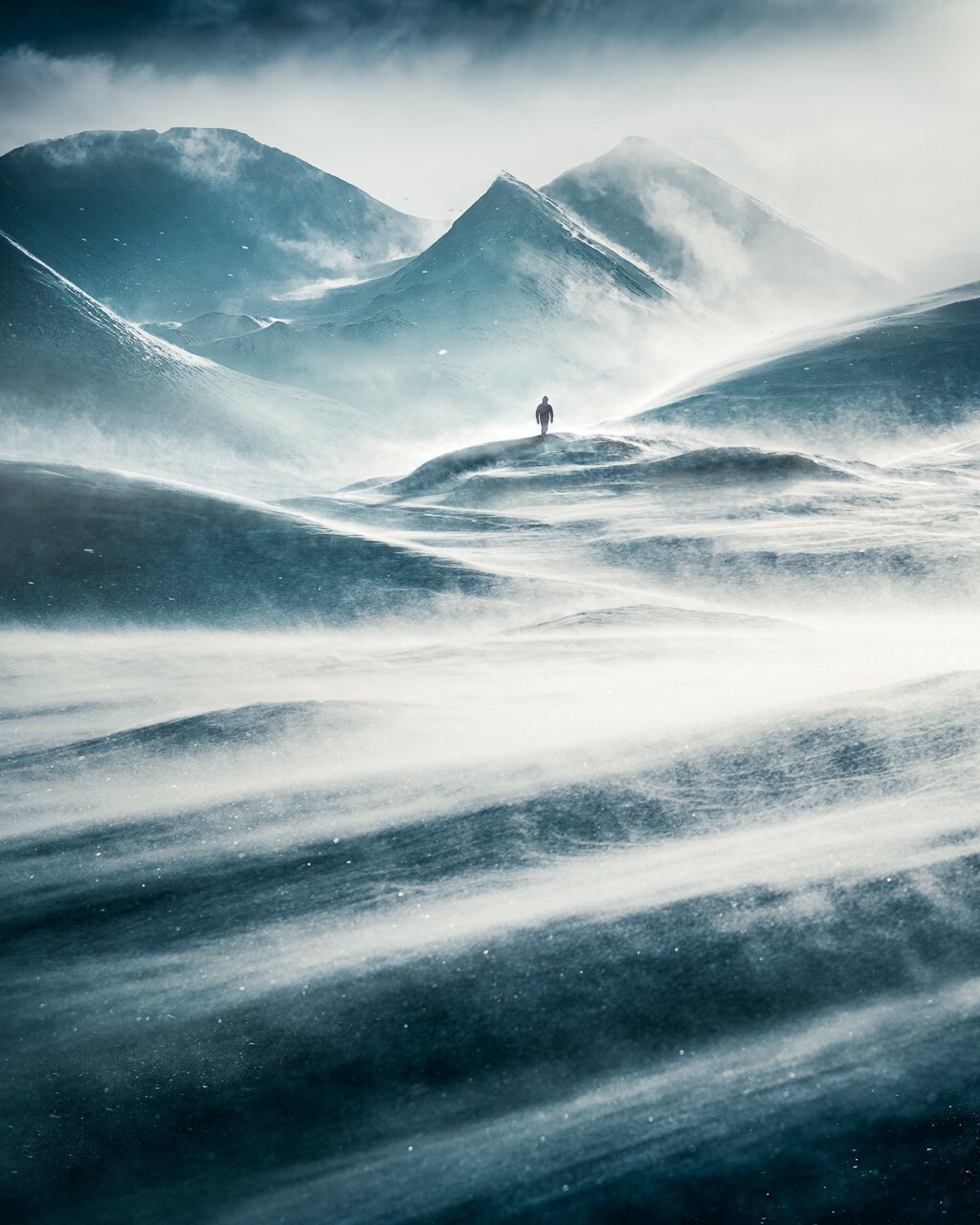 Mikko-Lagerstedt-Windswept.jpg