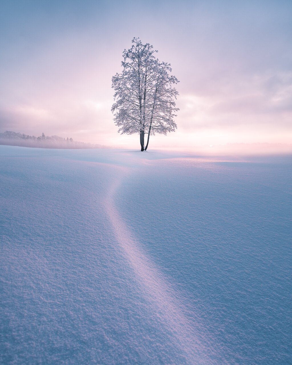 Mikko-Lagerstedt-Winter-Evening.jpg