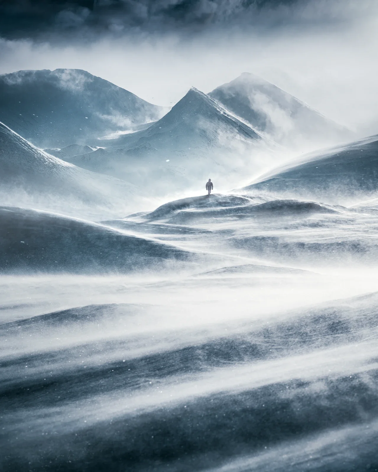 Mikko-Lagerstedt-Windswept.webp