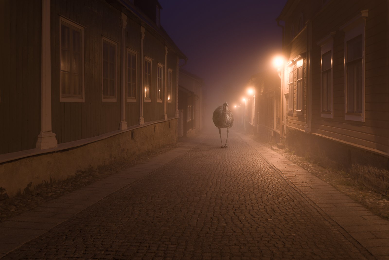 Ночные ли. Таинственные улицы. Еду ли ночью по улице темной. Фото пустые улицы мистика. Фотографии Микко Лагерстедта.