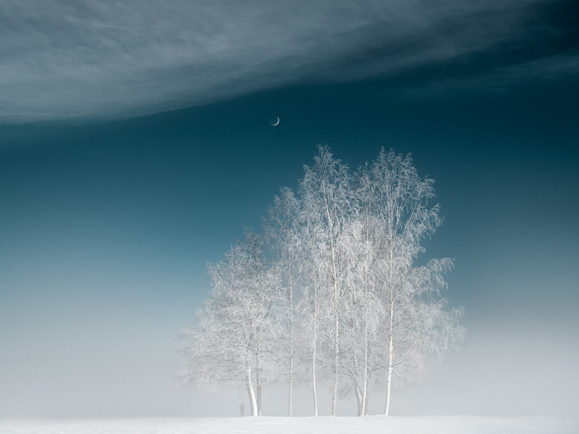 Frost-covered trees in a snowy landscape with a crescent moon and clouds in the sky.