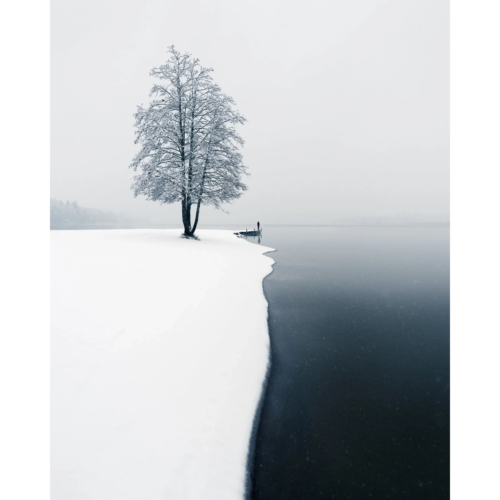 Mikko-Lagerstedt-First-Snow_square.webp