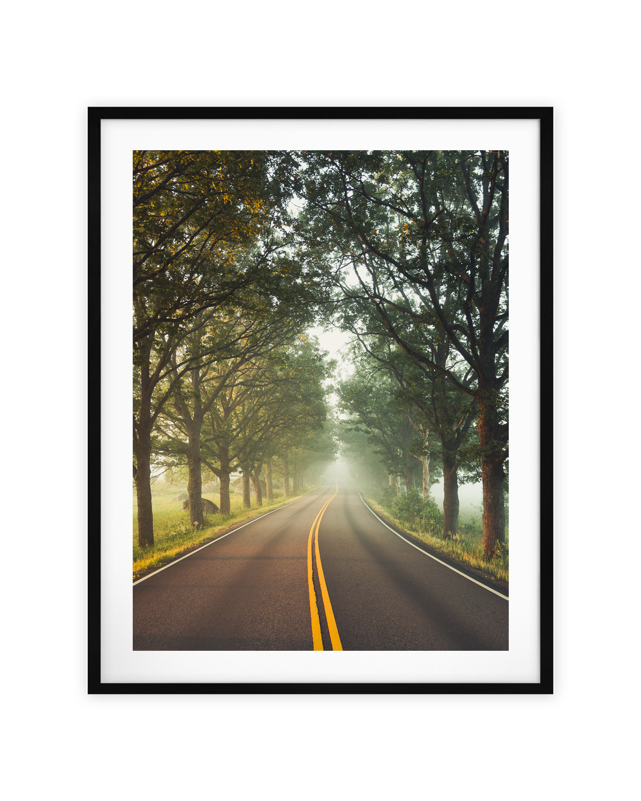 Mikko-Lagerstedt-Open-Road.png