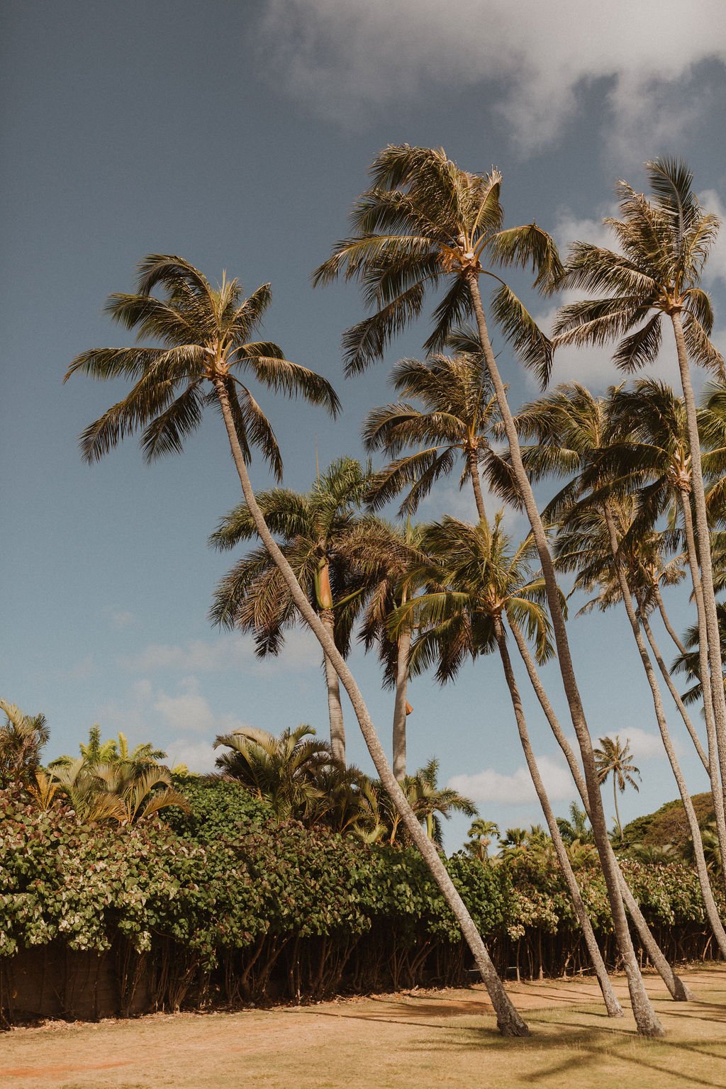 Oahu