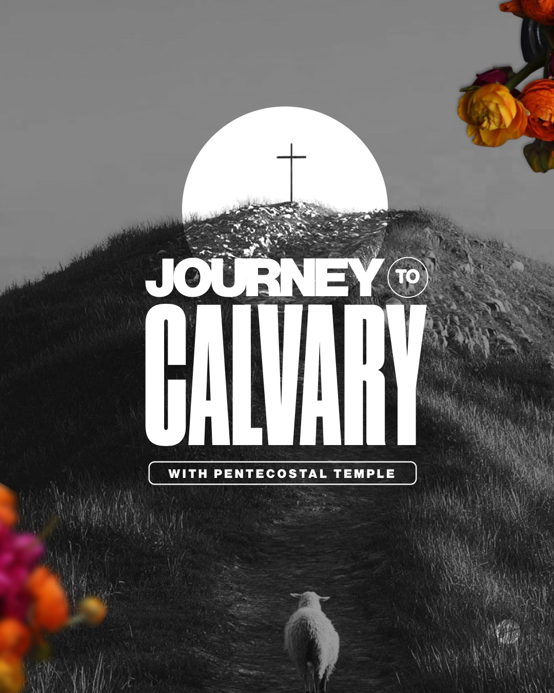 Journey to Calvary: “I Am”