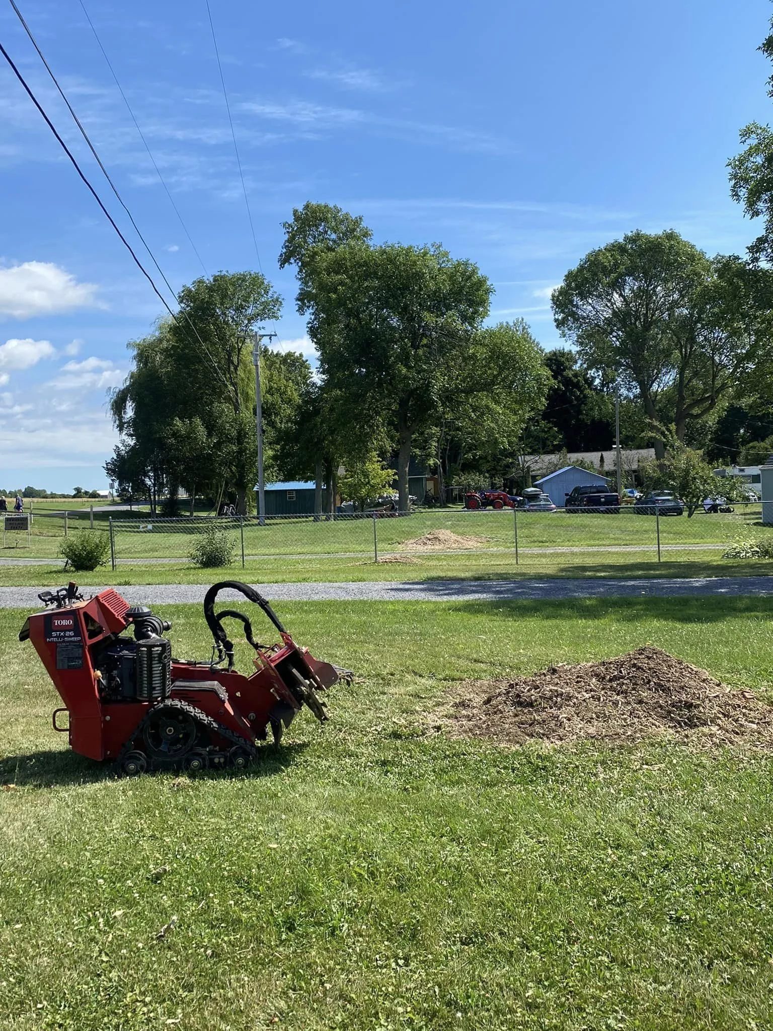 covell tree stump grind.jpg