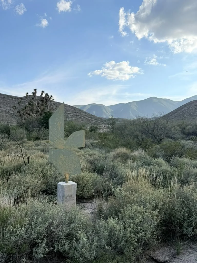 5.jpeg