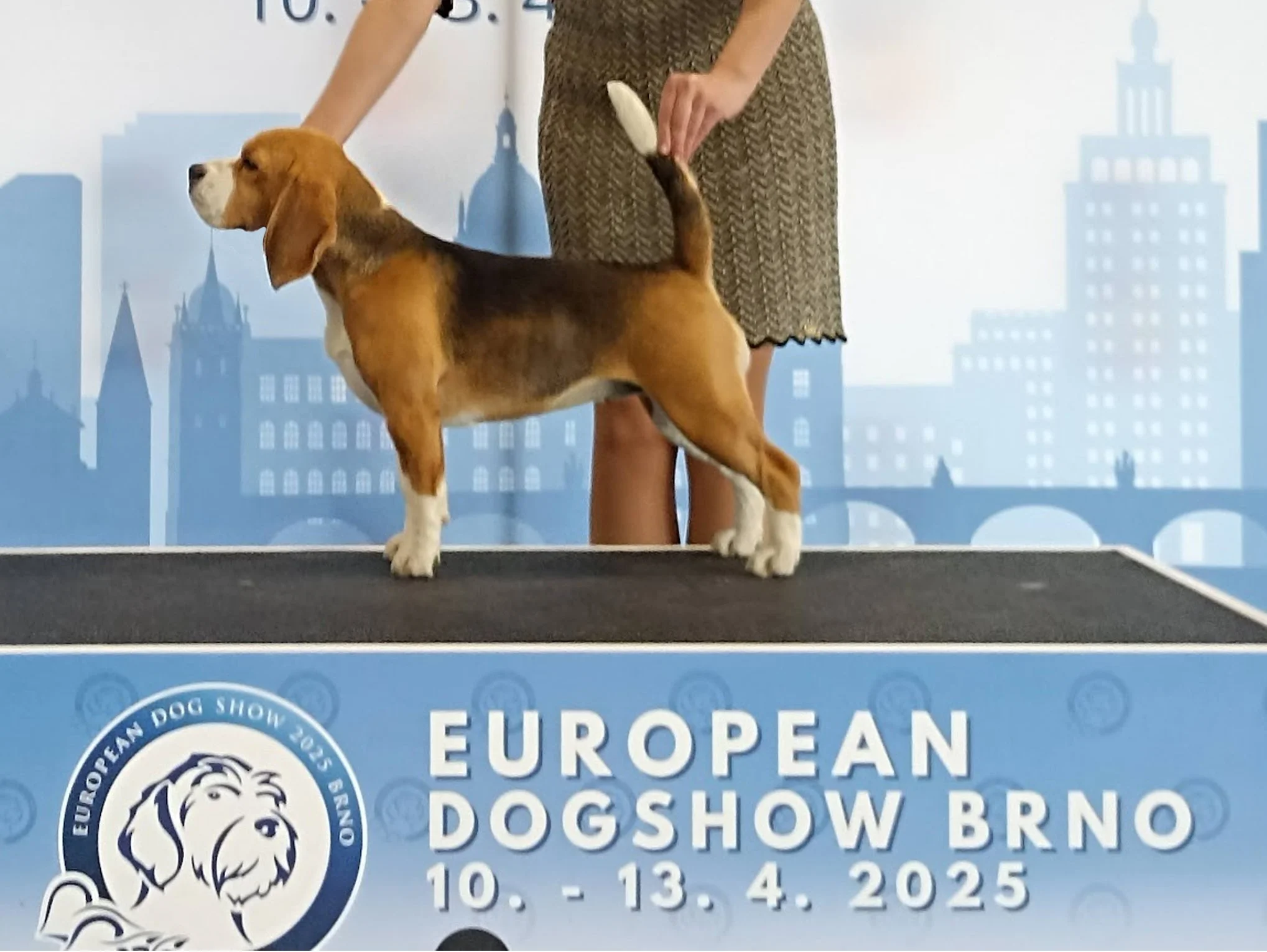 RCAC_moriah_EDS copy.jpg