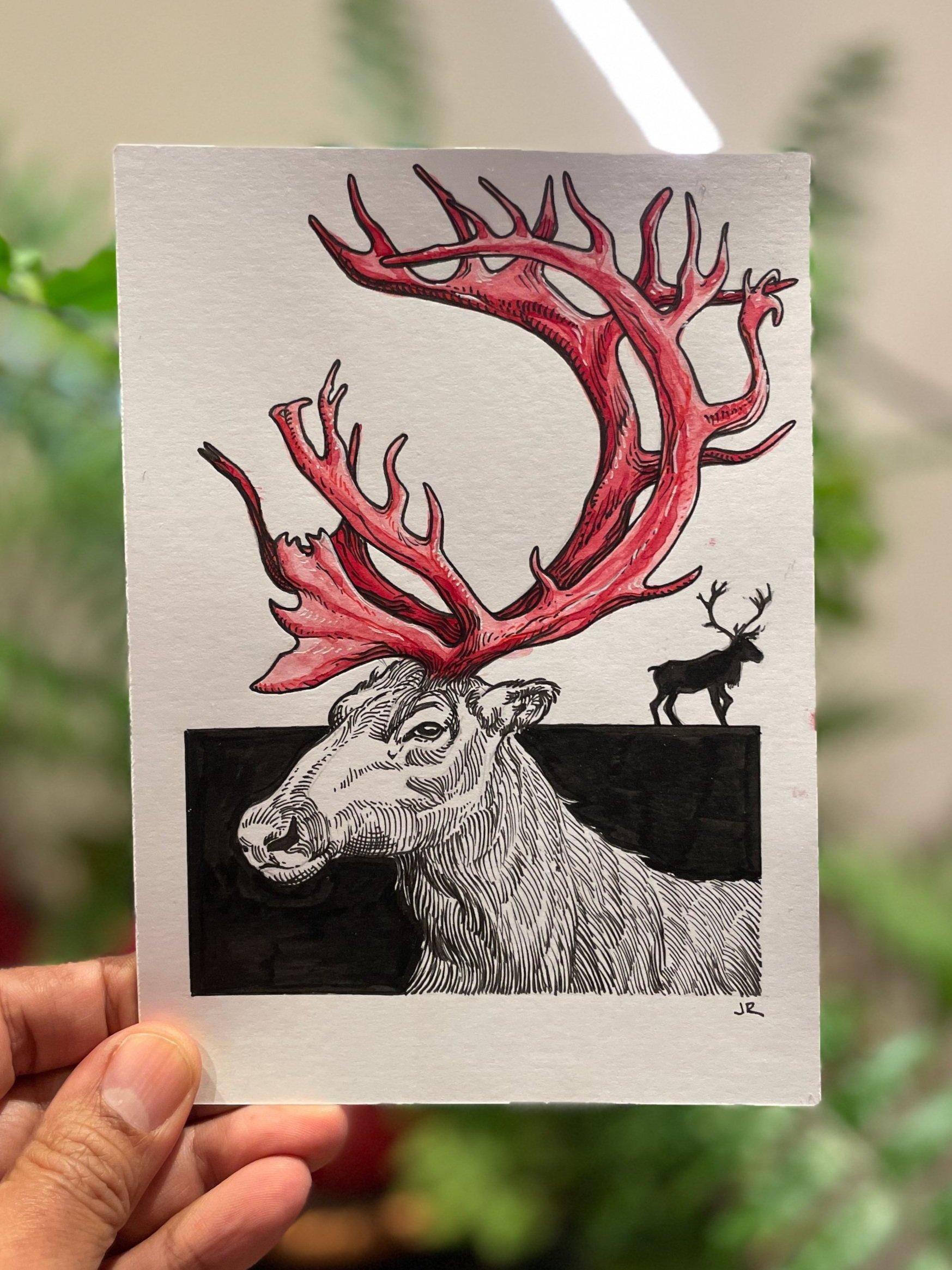 23.Caribou+-+2.jpg