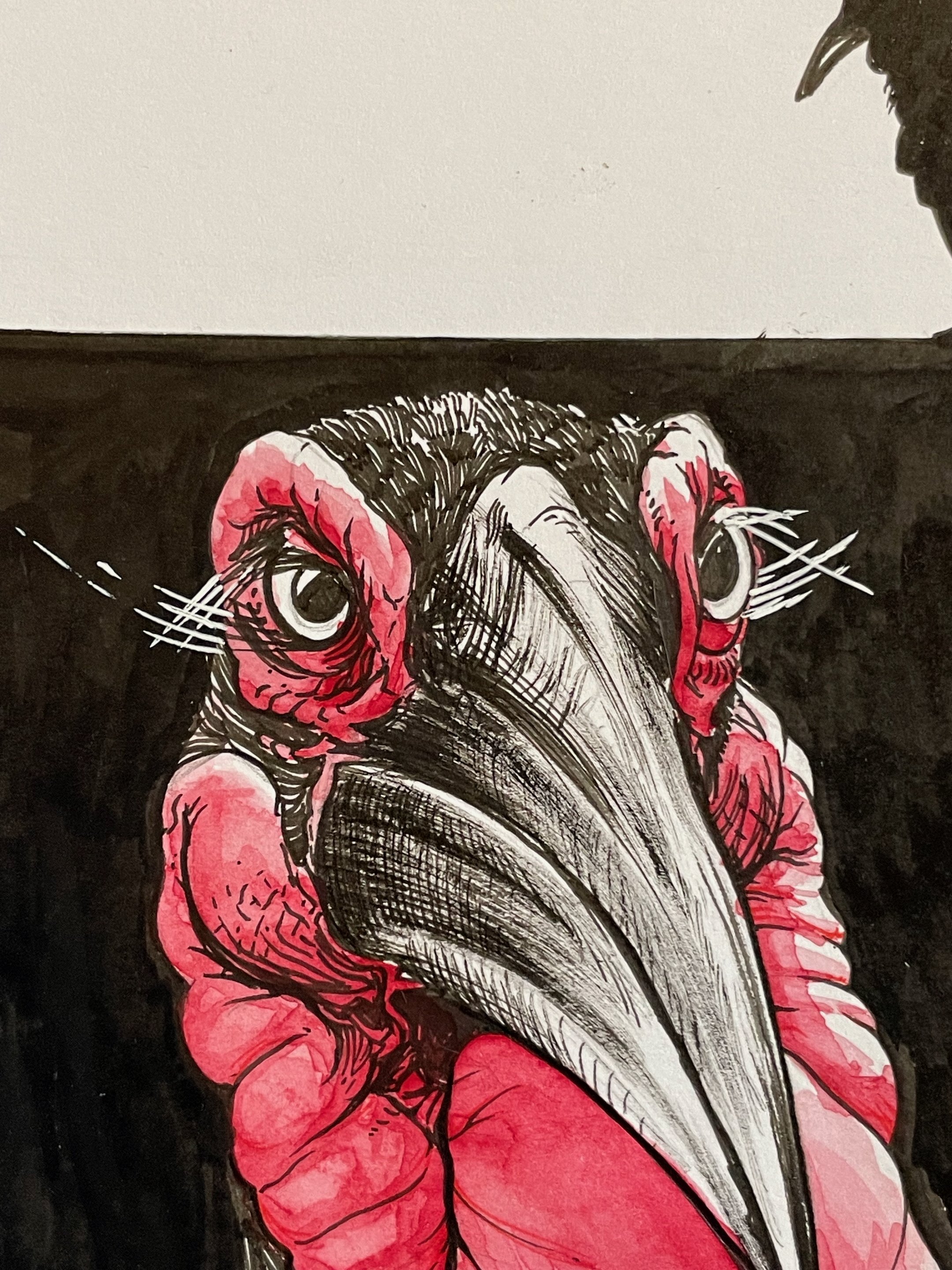 14.Hornbill - 6.jpeg