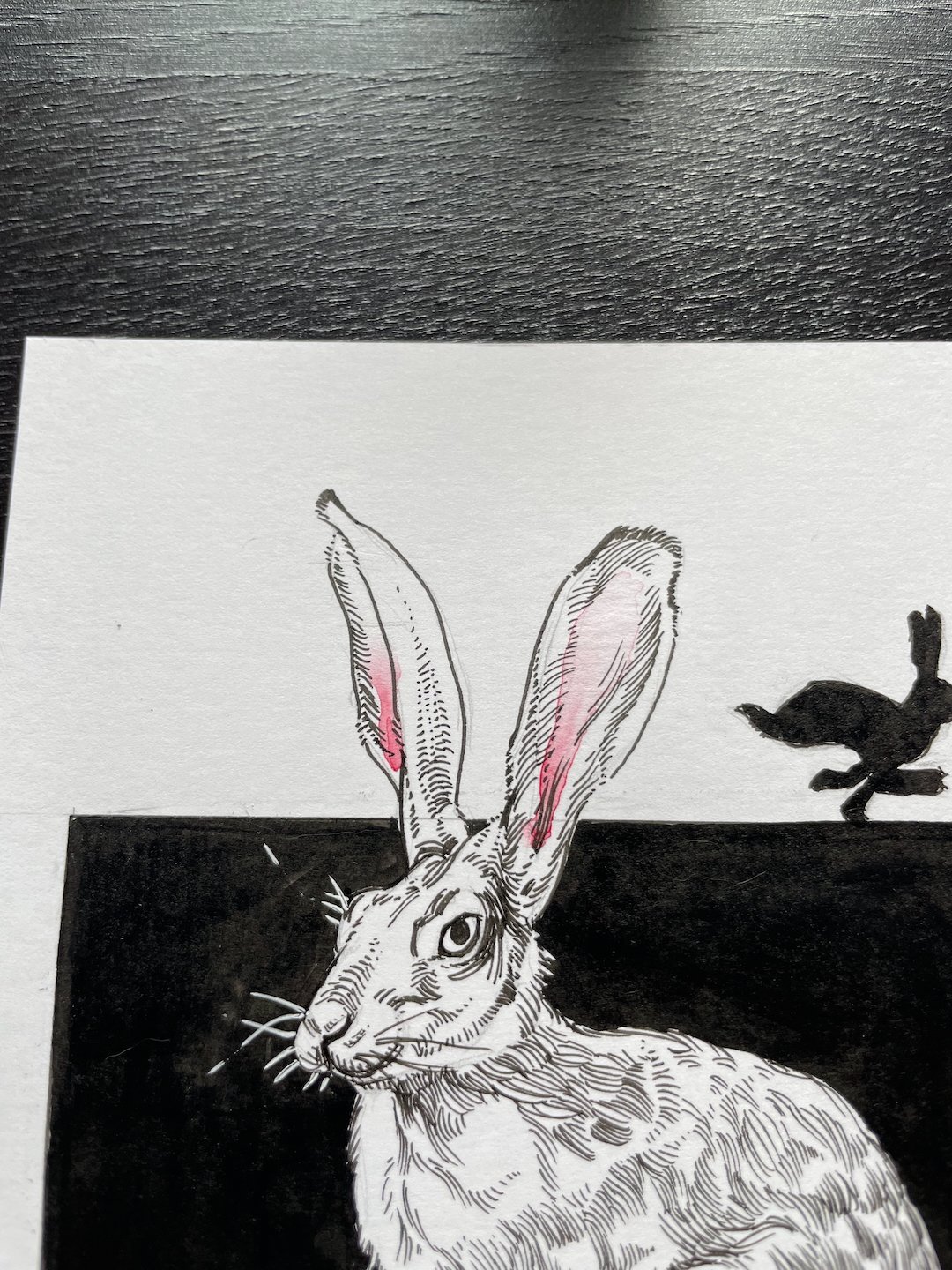 02-Hare-Detail02.jpeg