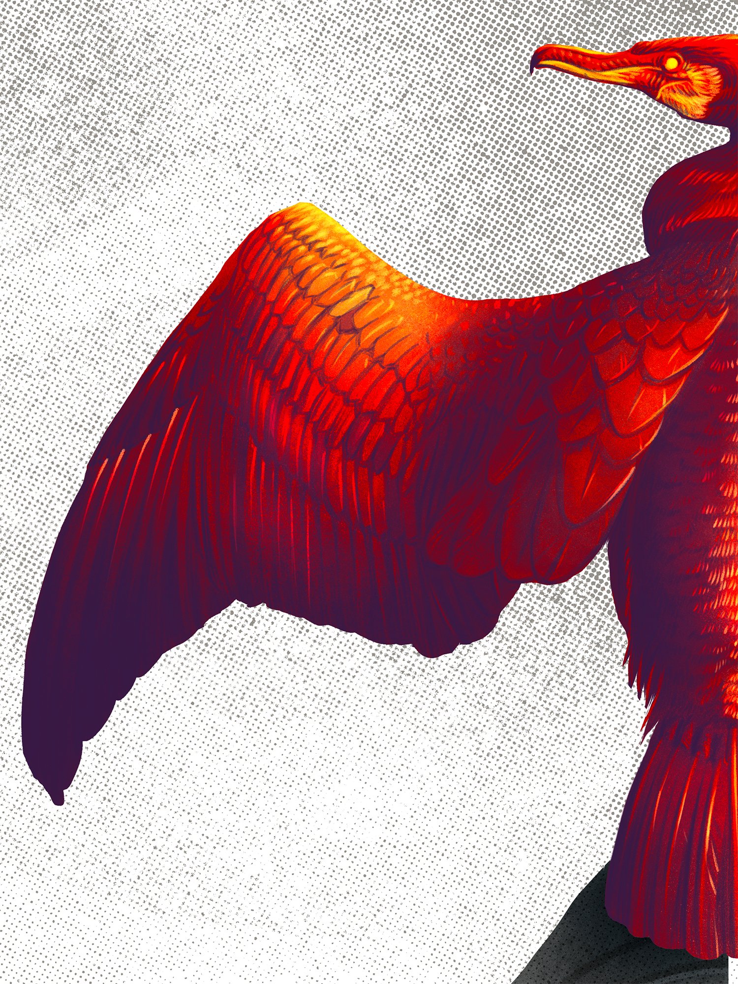 01-Cormorant-Detail03.jpg