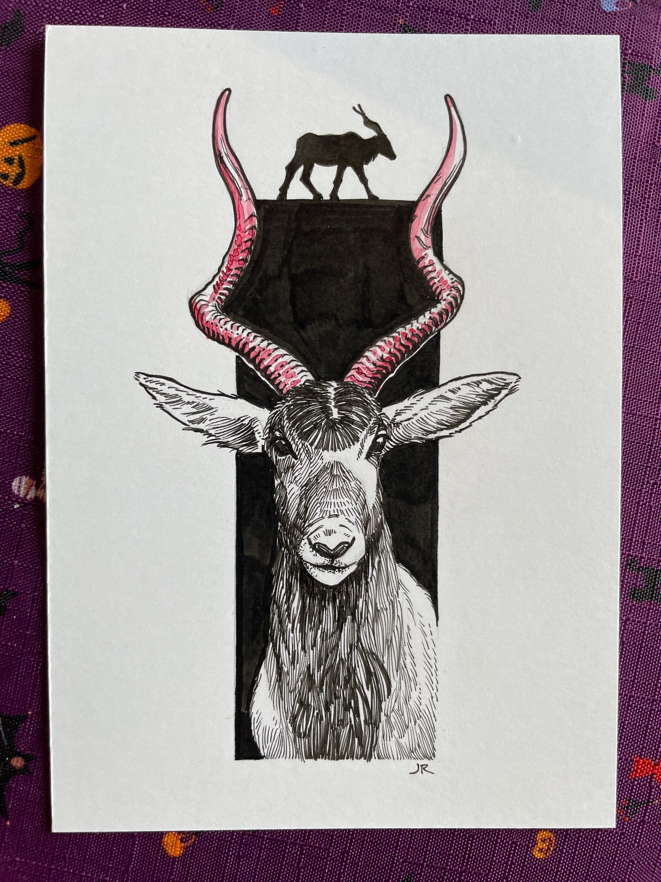 17.Addax - 3.jpeg