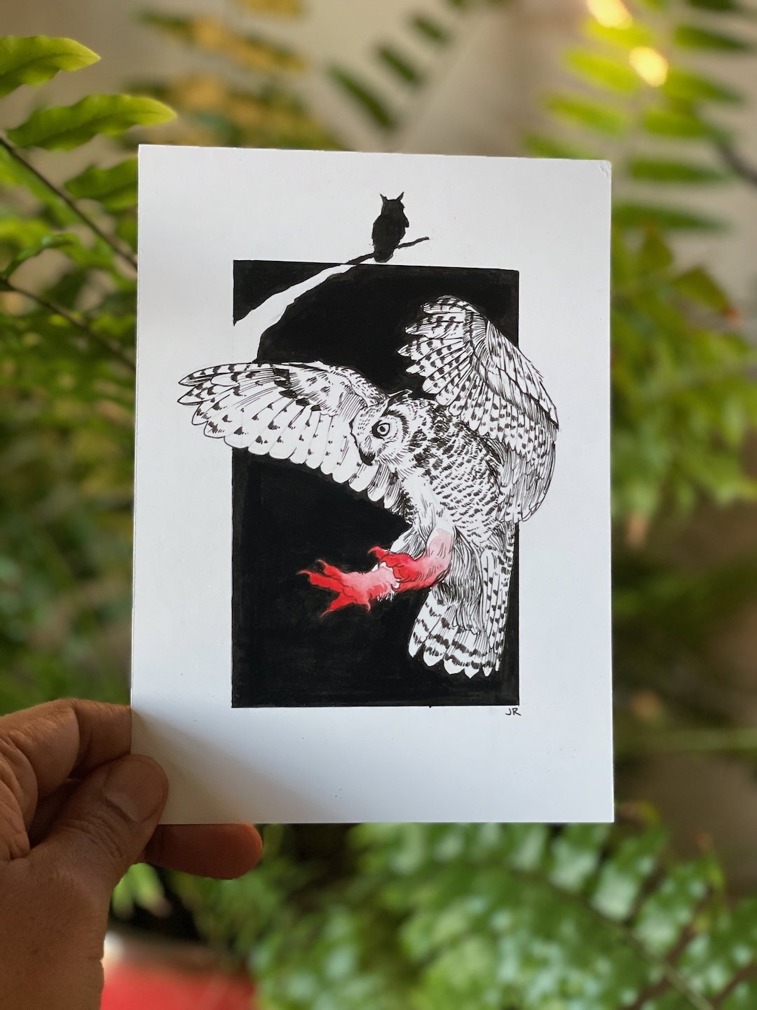 04-Owl - 2.jpeg
