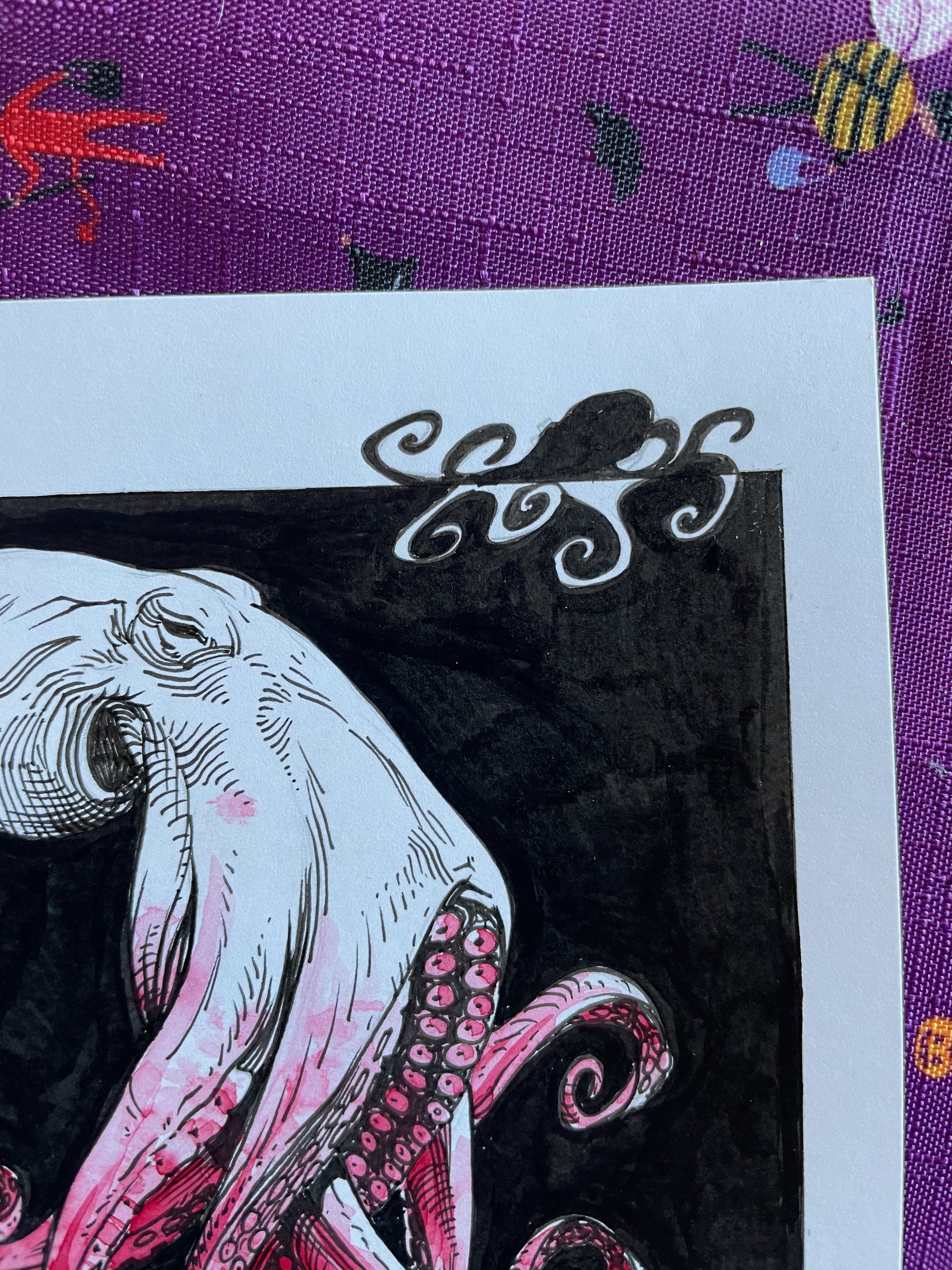 19.Octopus - 6.jpeg