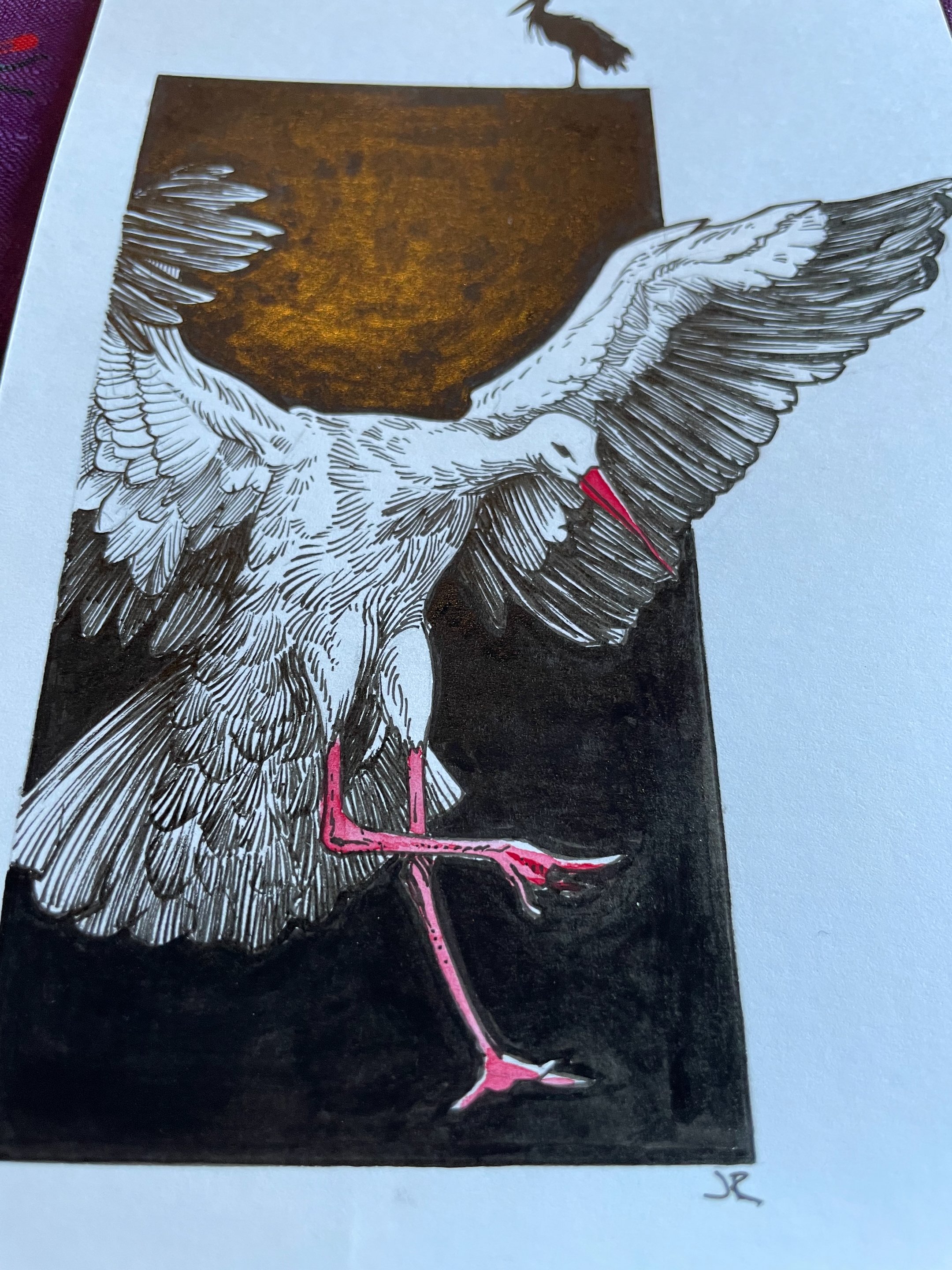 18.Stork - 3.jpeg