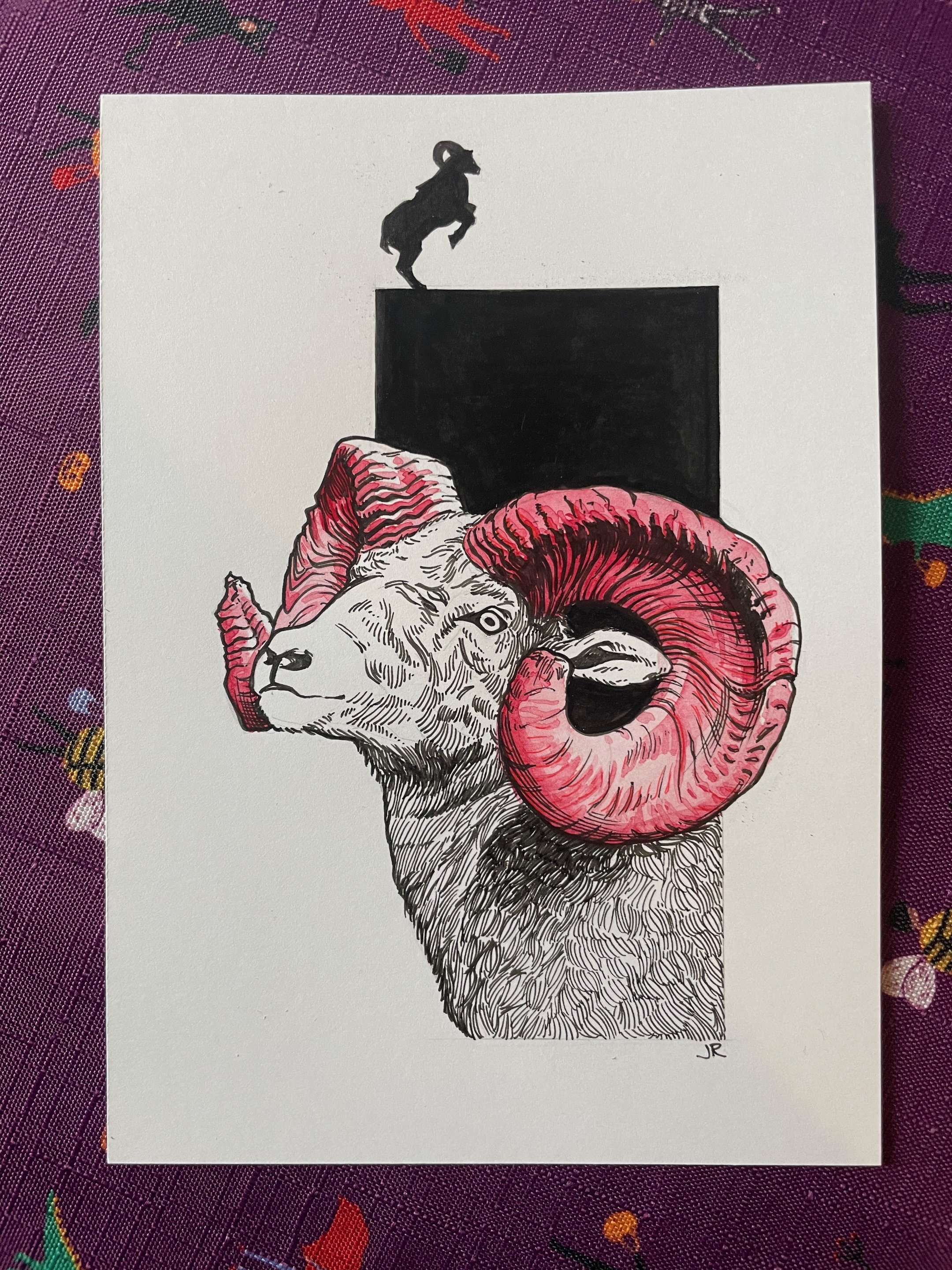 10.Goat - 2.jpeg