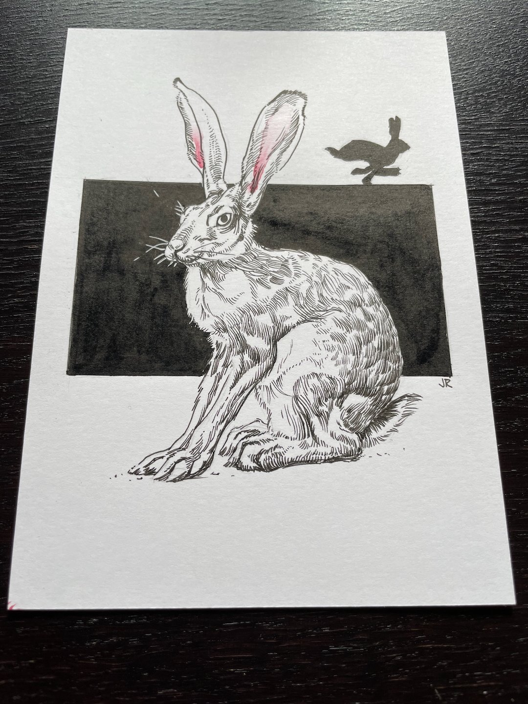 02-Hare-Detail01.jpeg