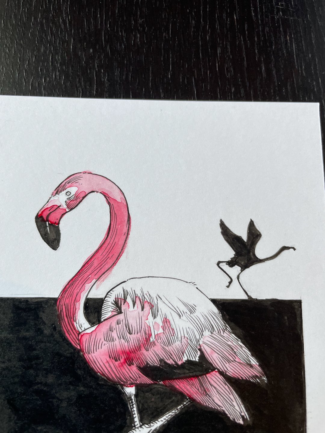 03-Flamingo - 5.jpeg