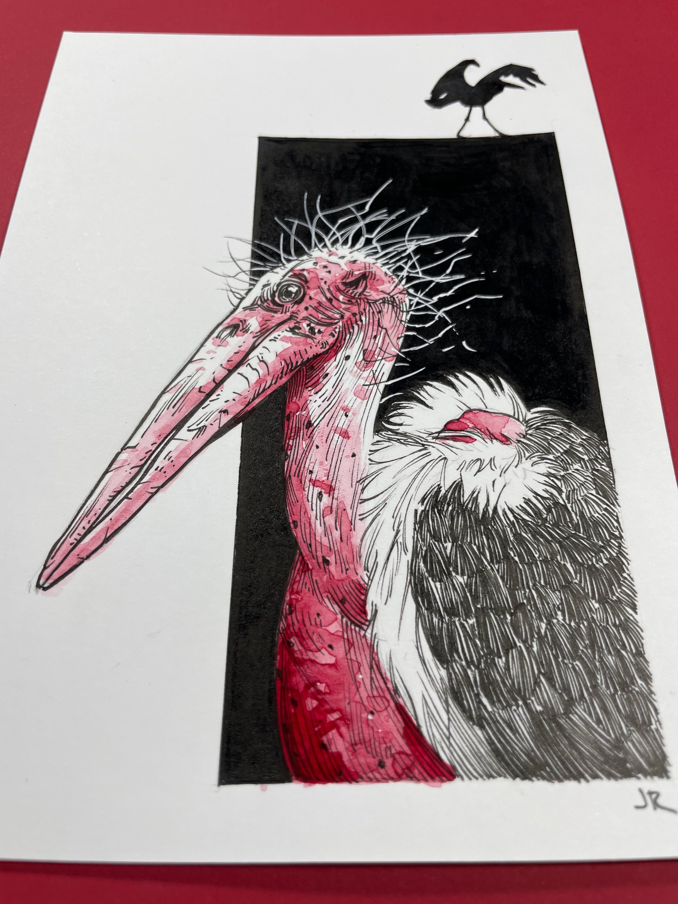 24.Marabou - 3.jpeg