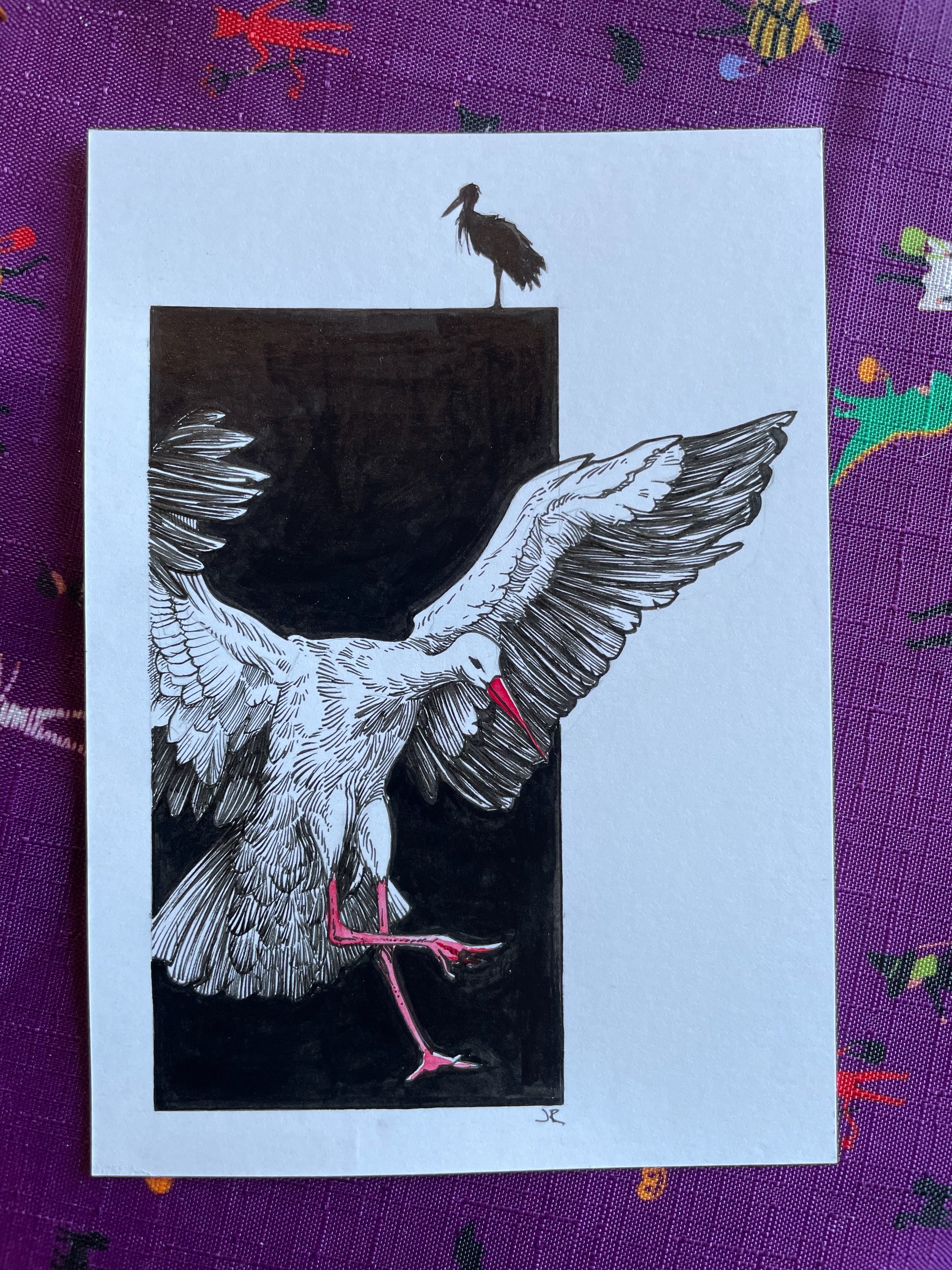 18.Stork - 2.jpeg