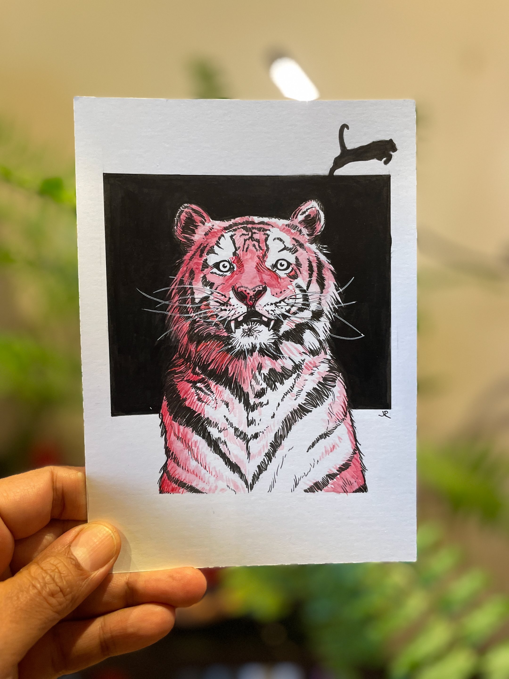 12.Tiger - 1.jpeg