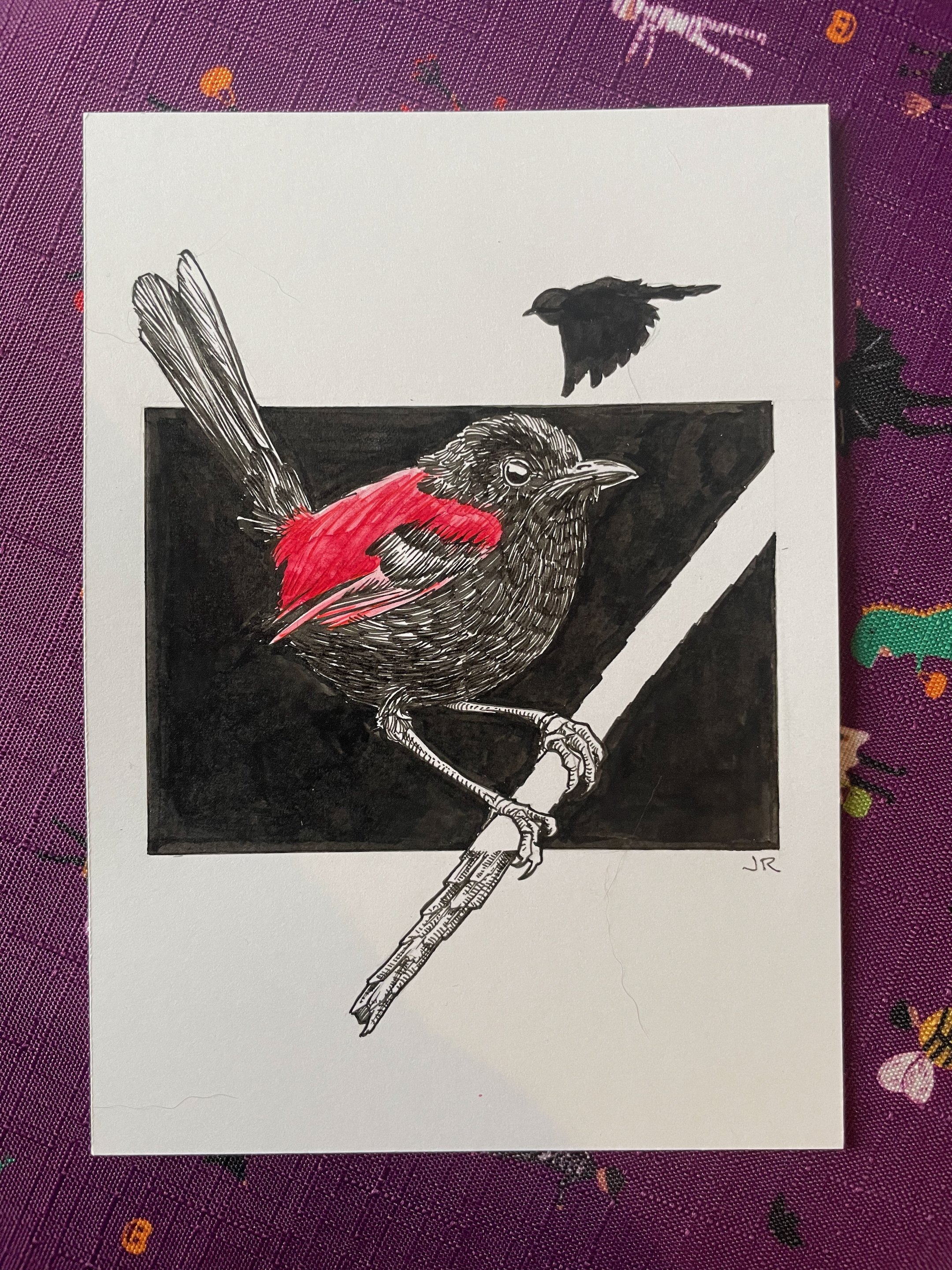 11.Red Backed Wren - 2.jpeg