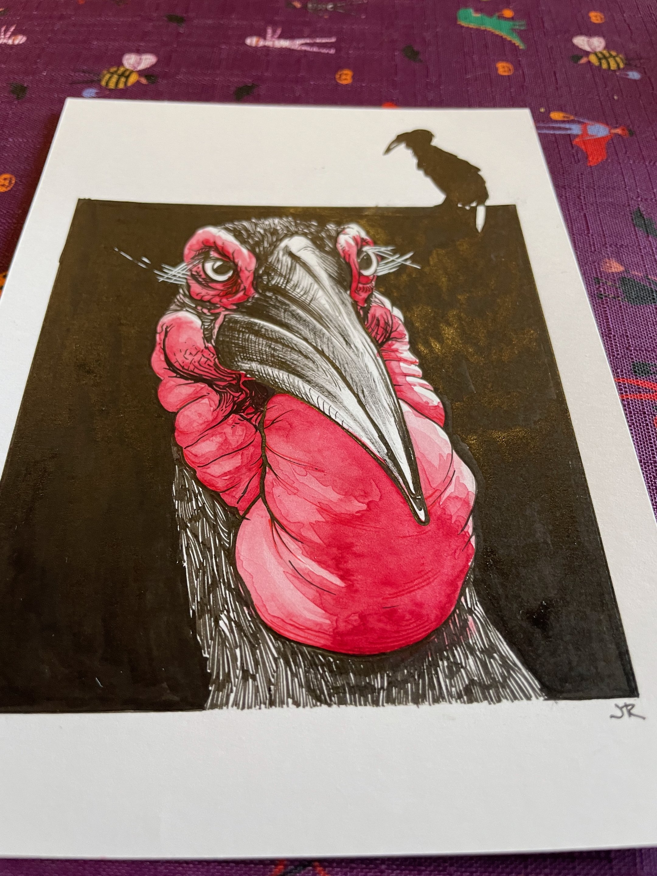 14.Hornbill - 4.jpeg