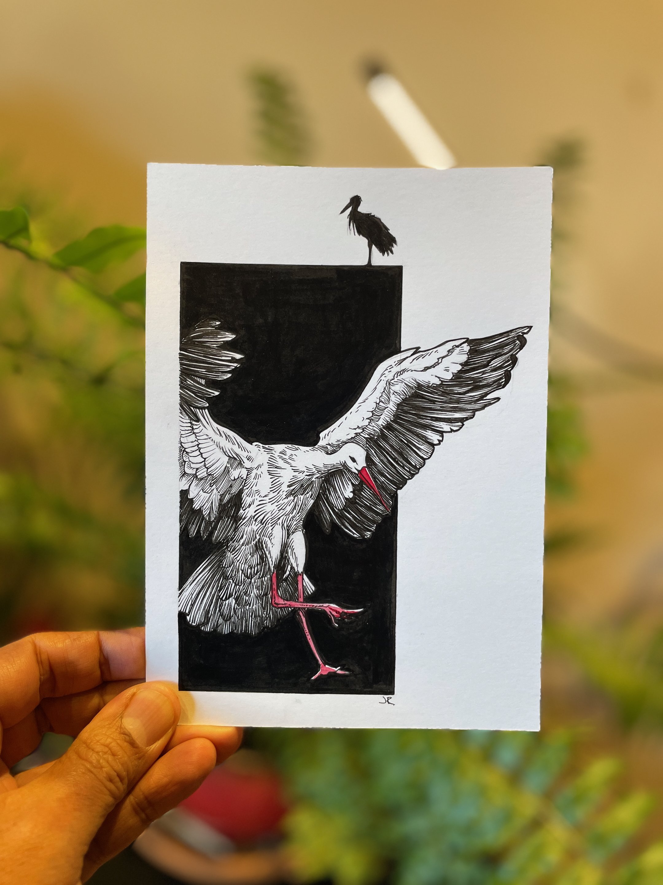 18.Stork - 1.jpeg