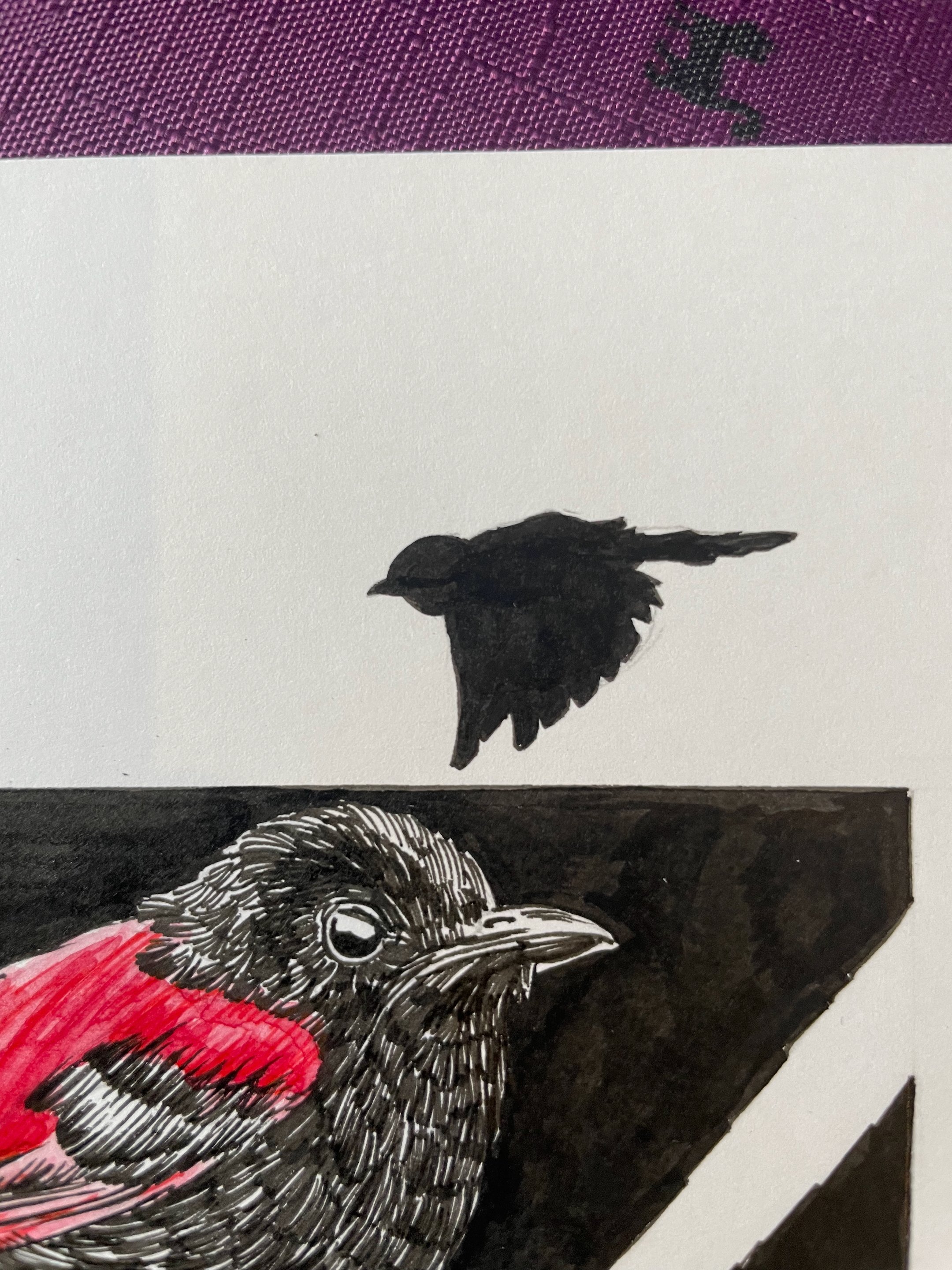 11.Red Backed Wren - 5.jpeg