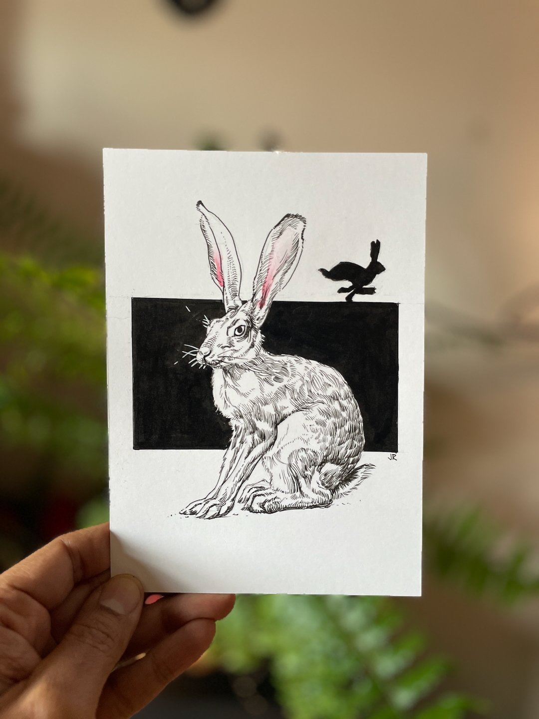 02-Hare-Whole.jpeg