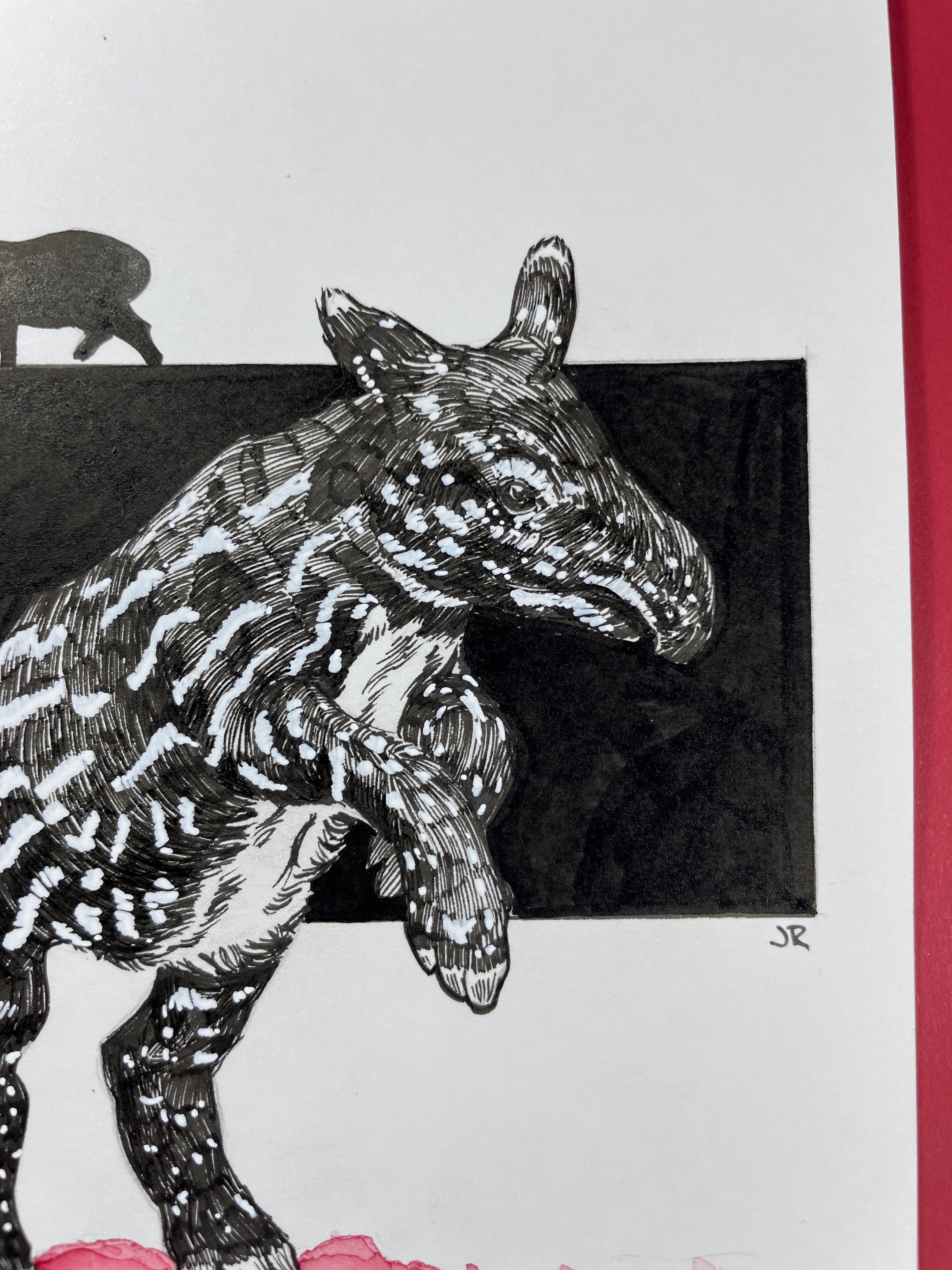 25.Malayan Tapir - 4.jpeg
