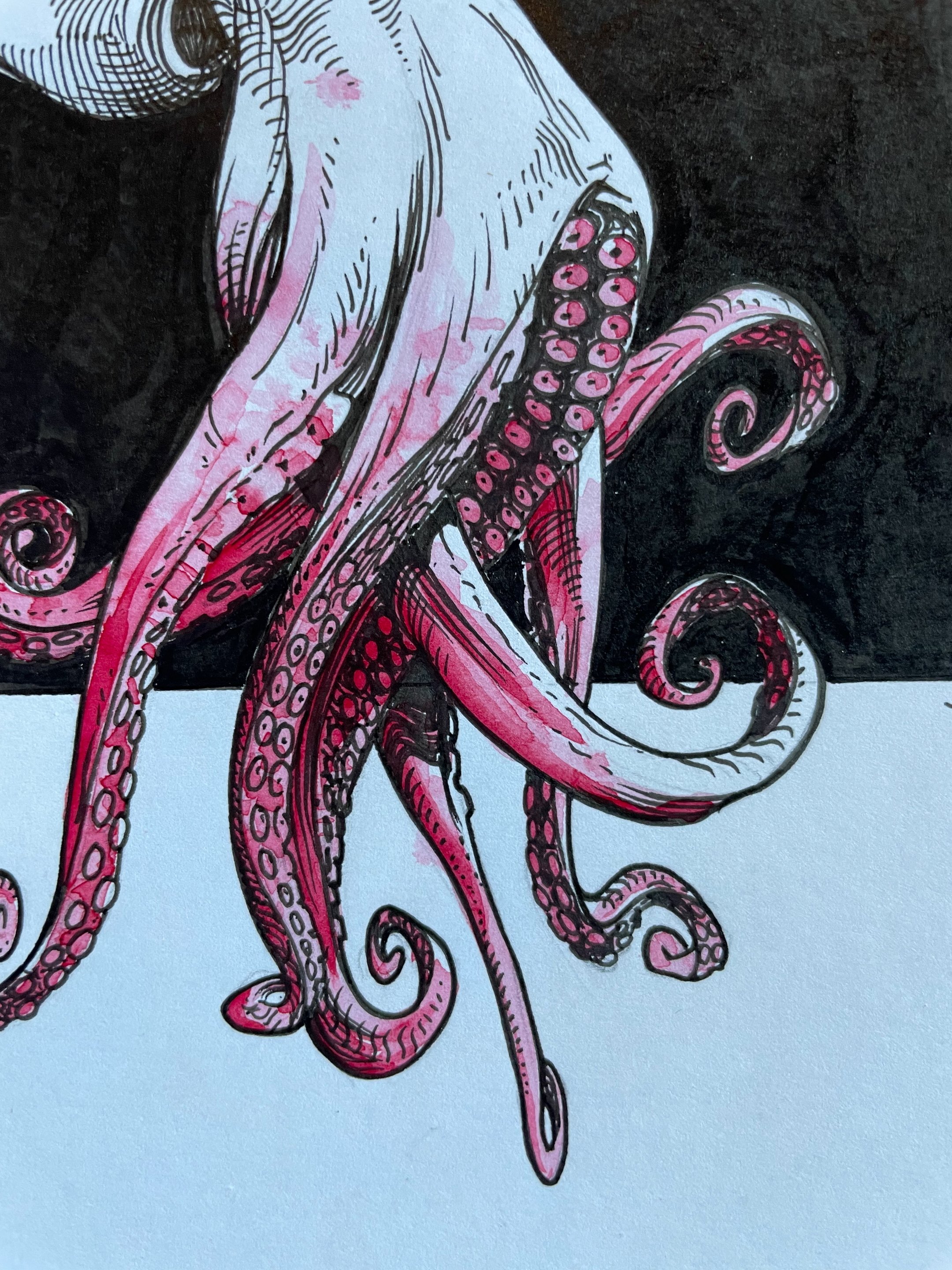 19.Octopus - 4.jpeg