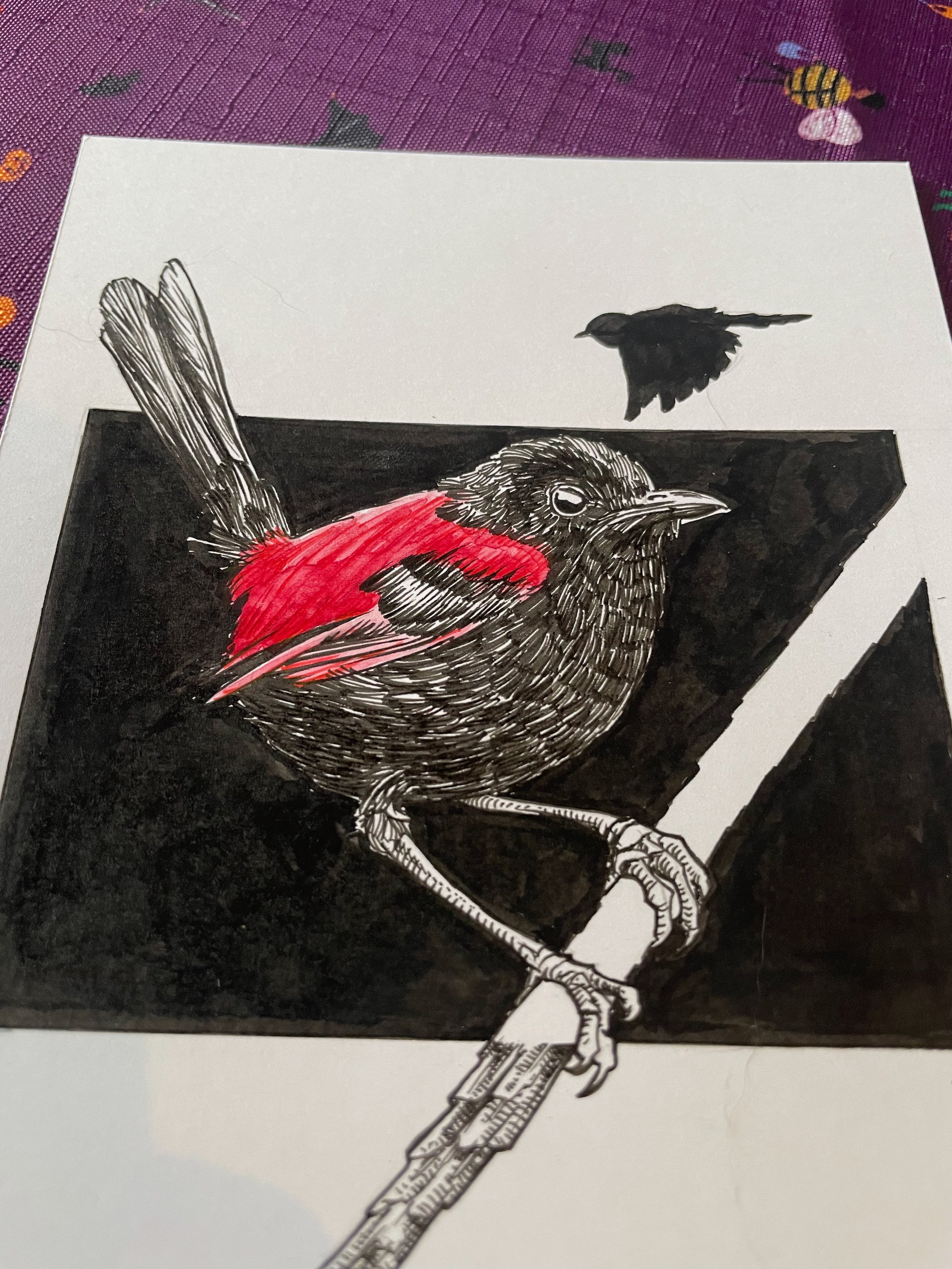 11.Red Backed Wren - 3.jpeg