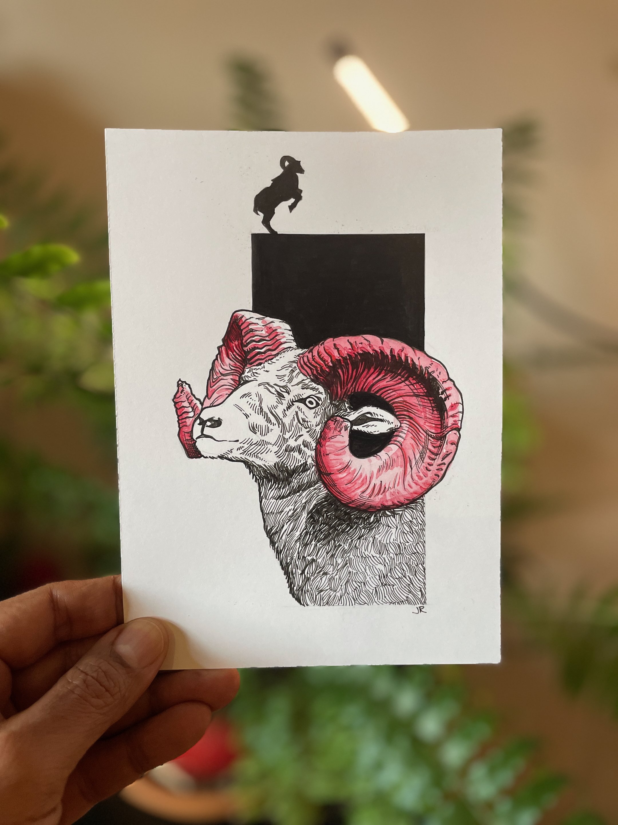 10.Goat - 1.jpeg