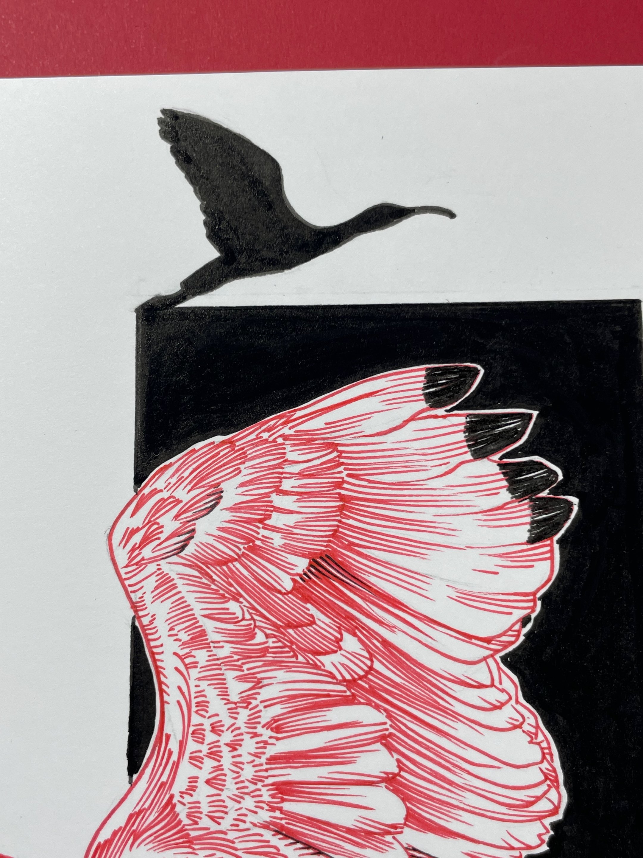 26.Ibis - 7.jpeg