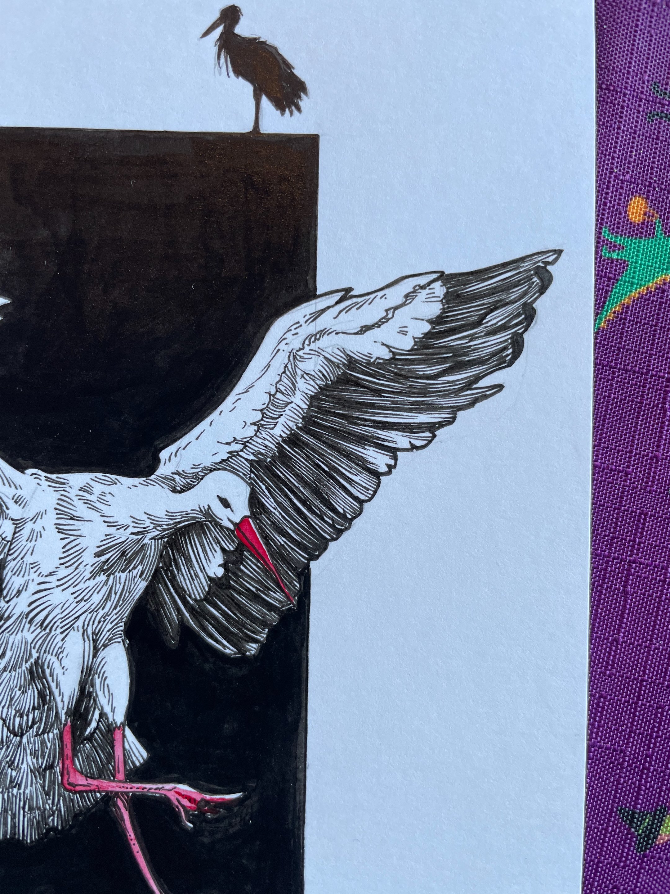 18.Stork - 4.jpeg