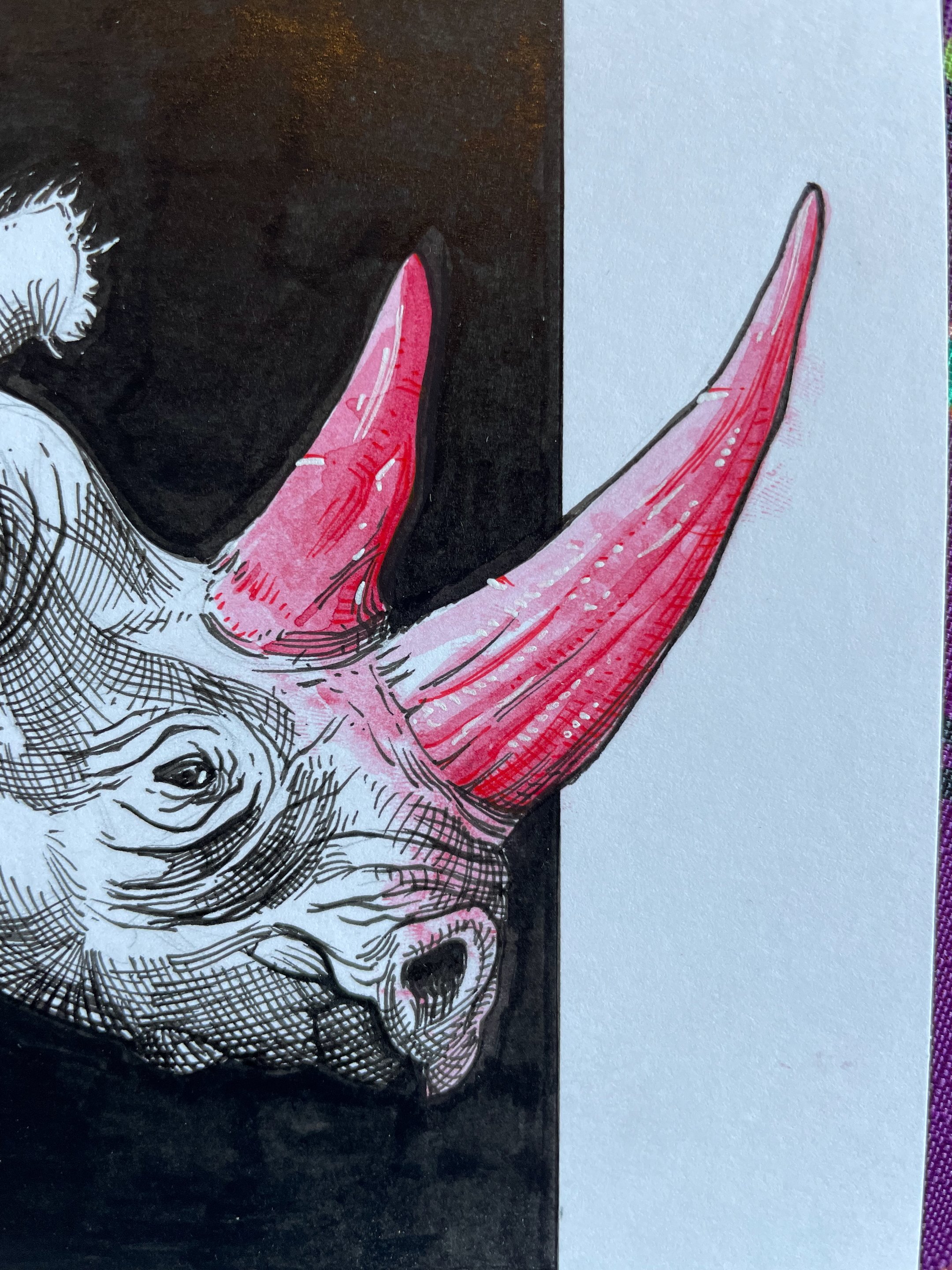 21.Rhino - 4.jpeg