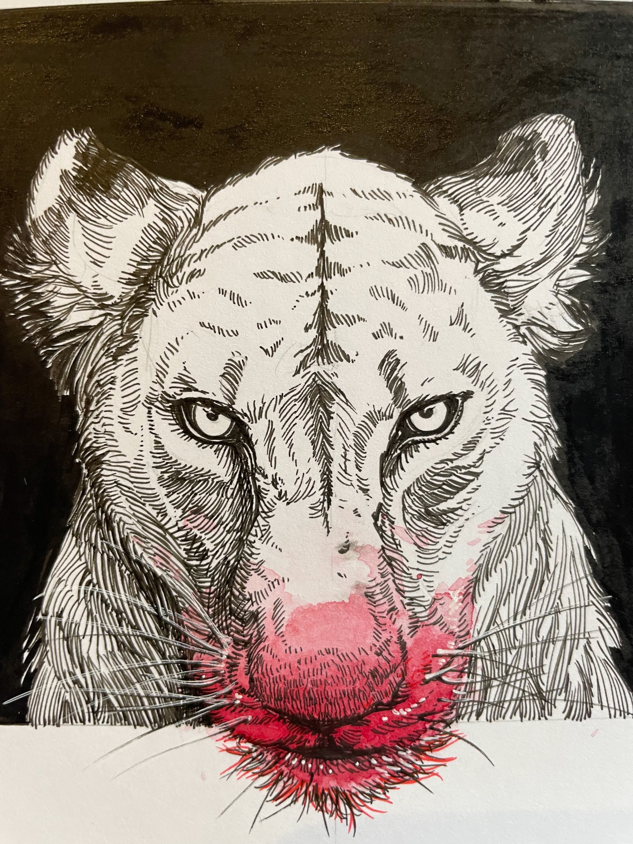 15.Lion(ess) - 6.jpeg