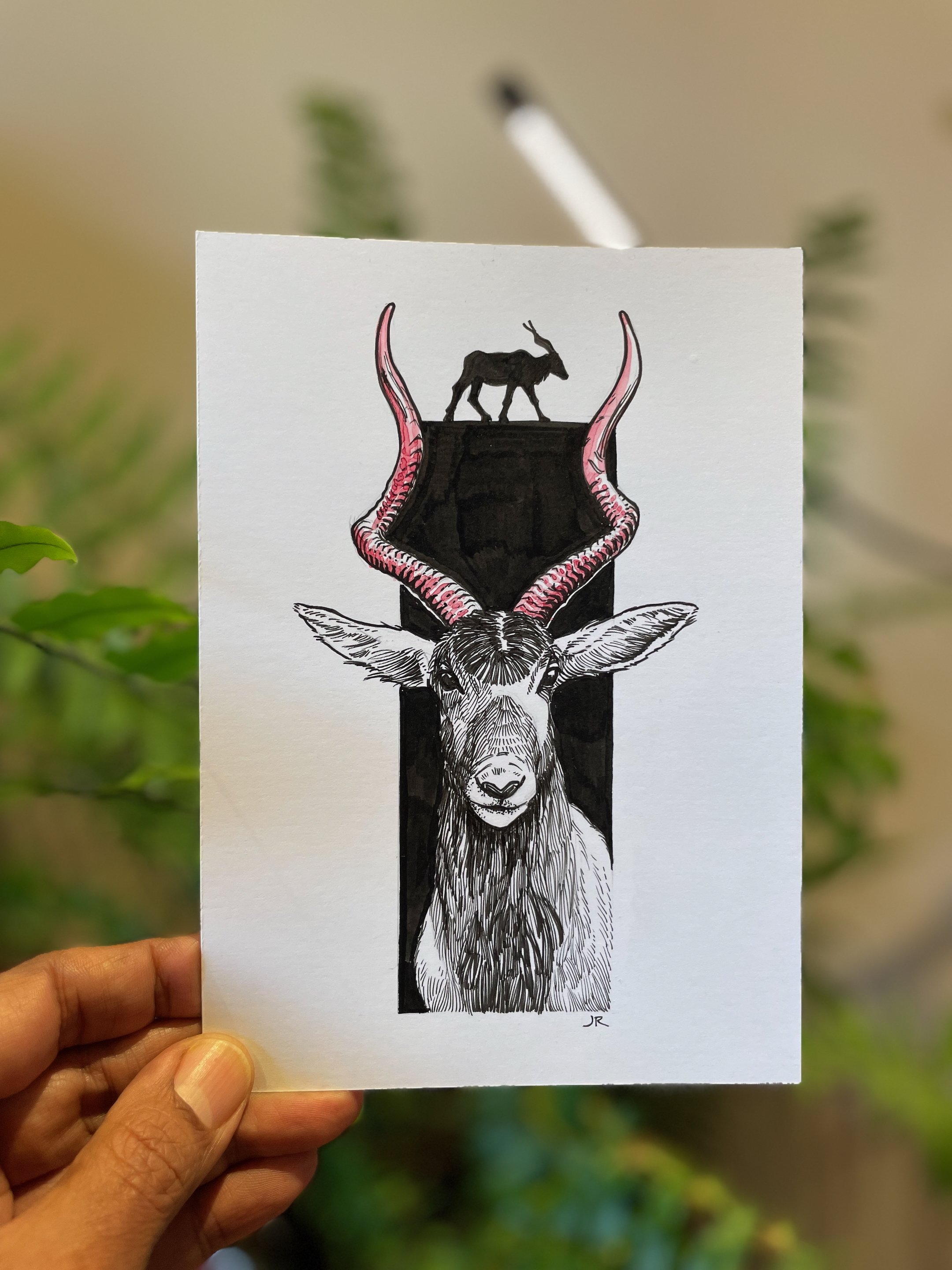 17.Addax - 2.jpeg