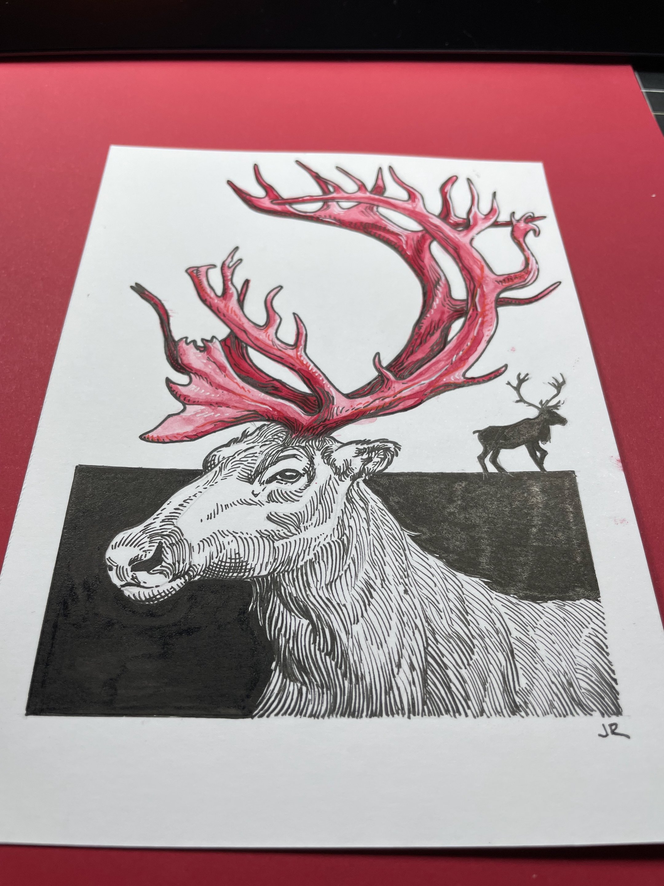 23.Caribou - 4.jpeg