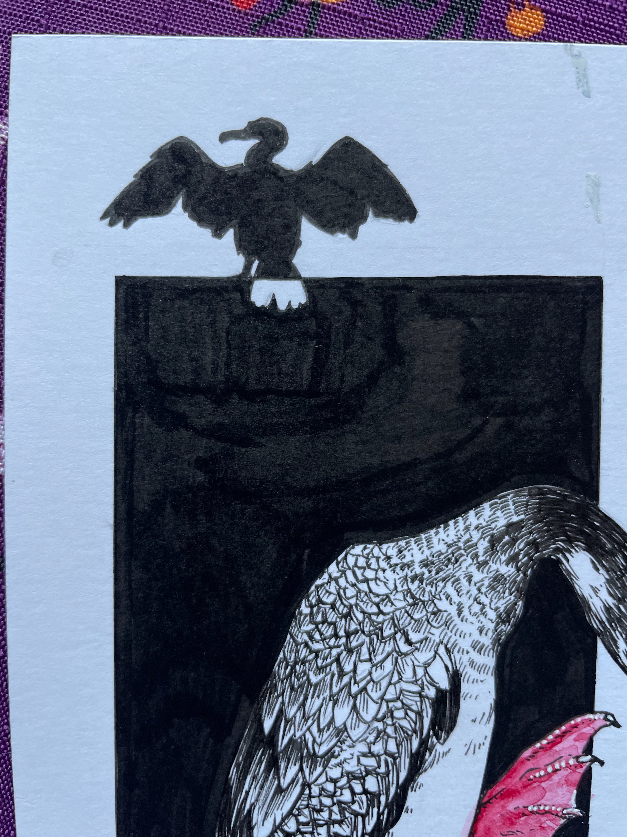20.Red-Legged Cormorant - 6.jpeg