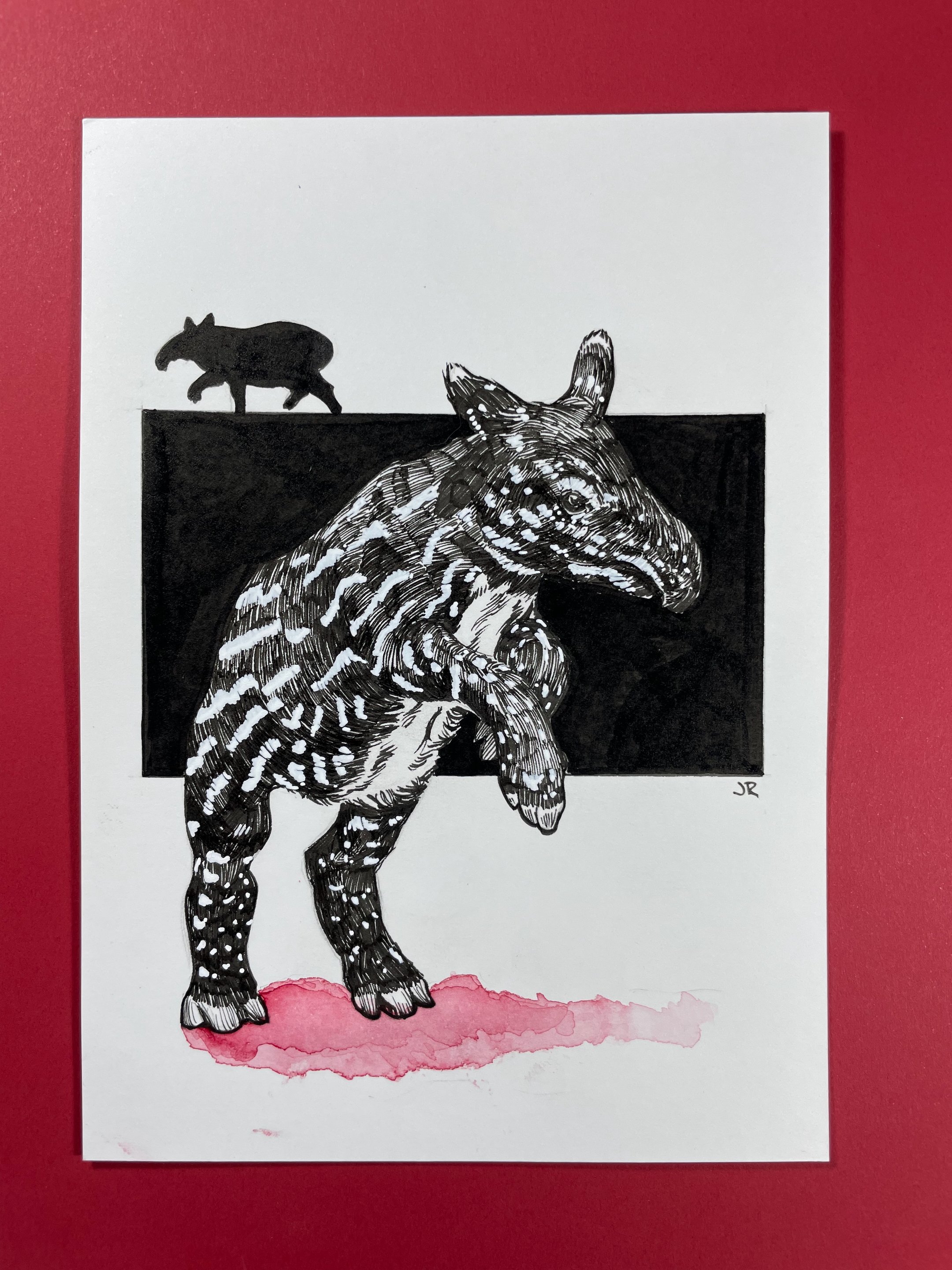 25.Malayan Tapir - 2.jpeg