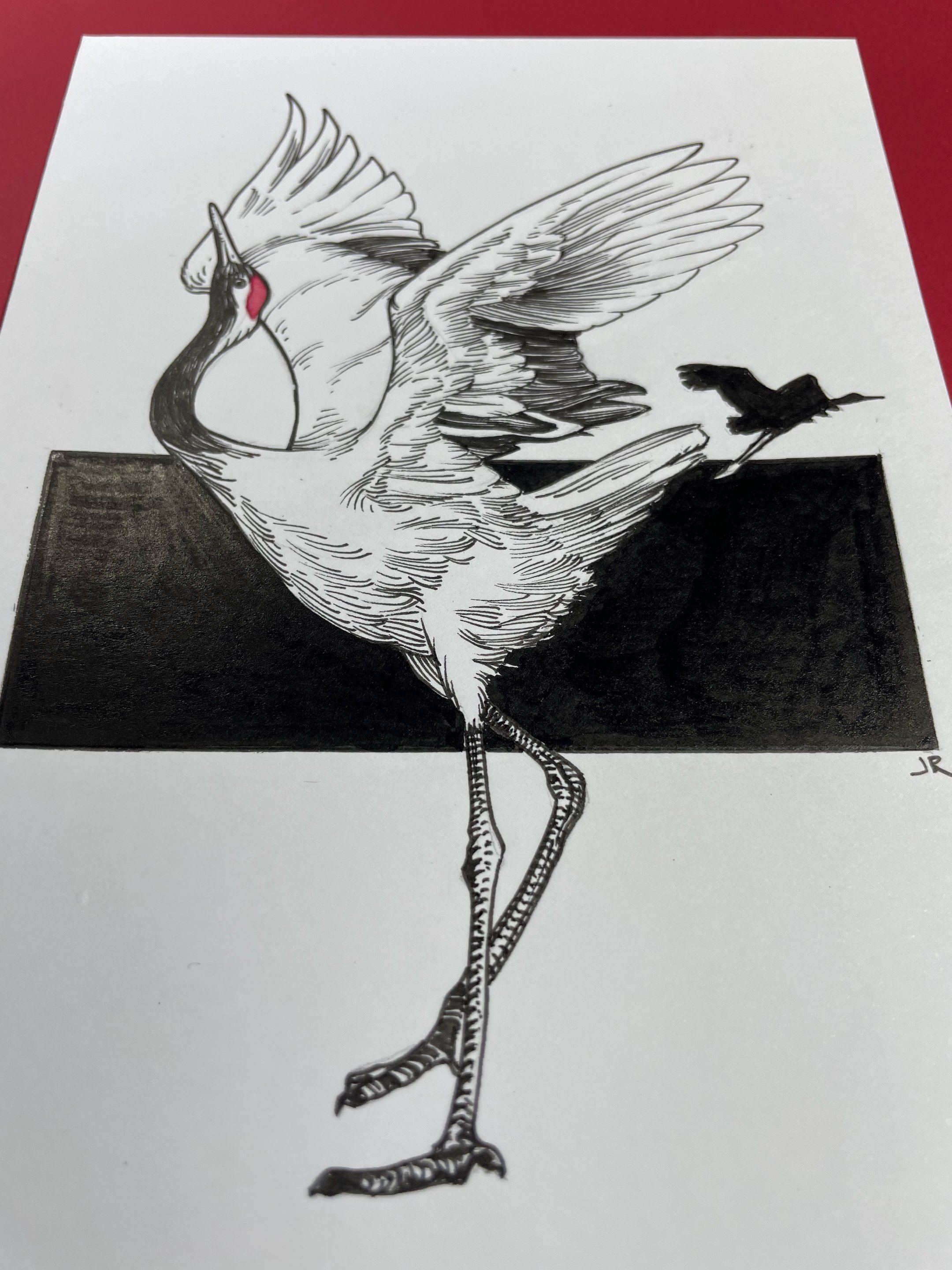 29.RedCrownedCrane - 3.jpeg