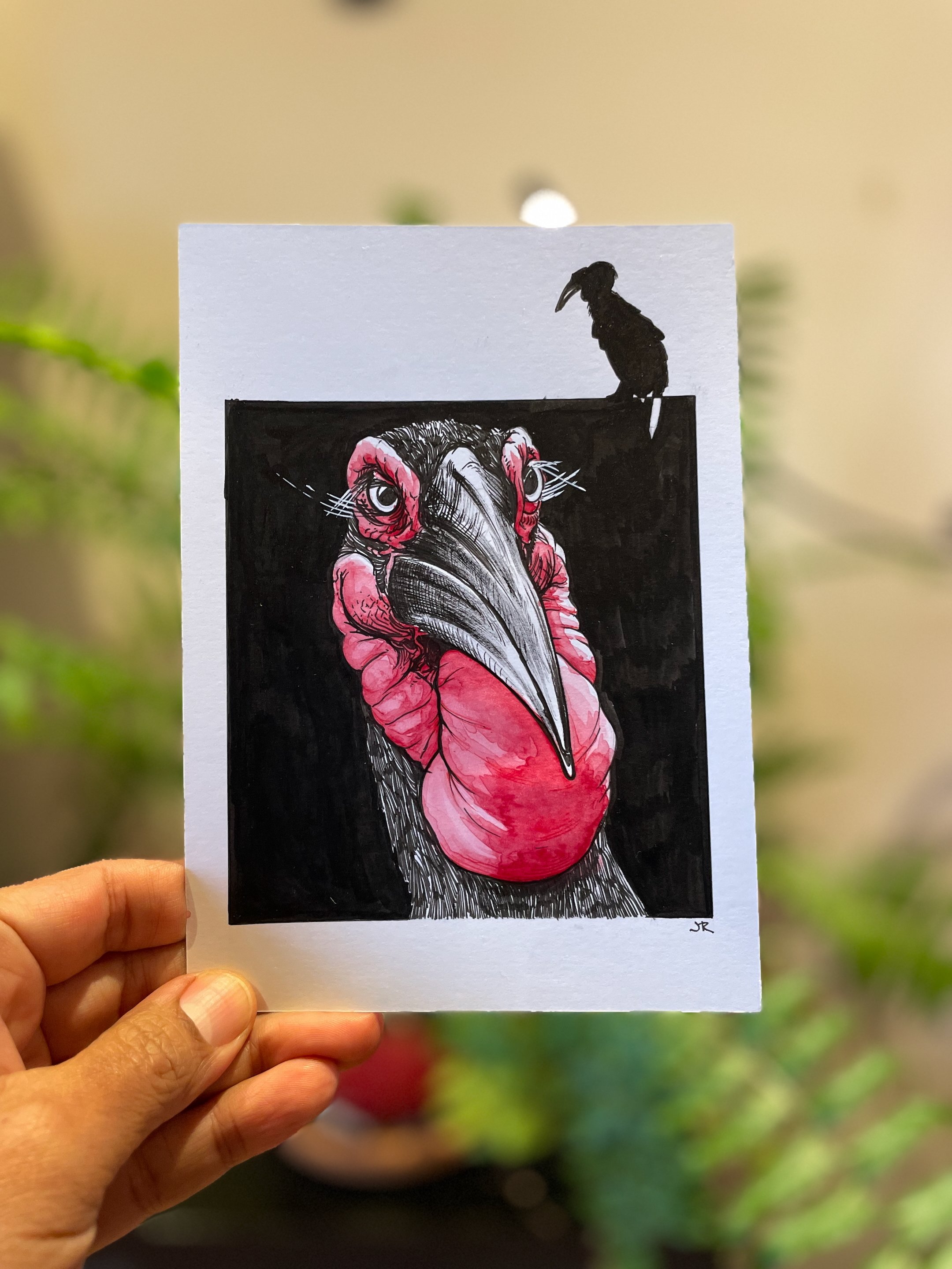 14.Hornbill - 1.jpeg