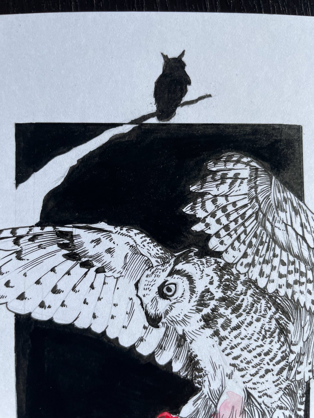 04-Owl - 6.jpeg