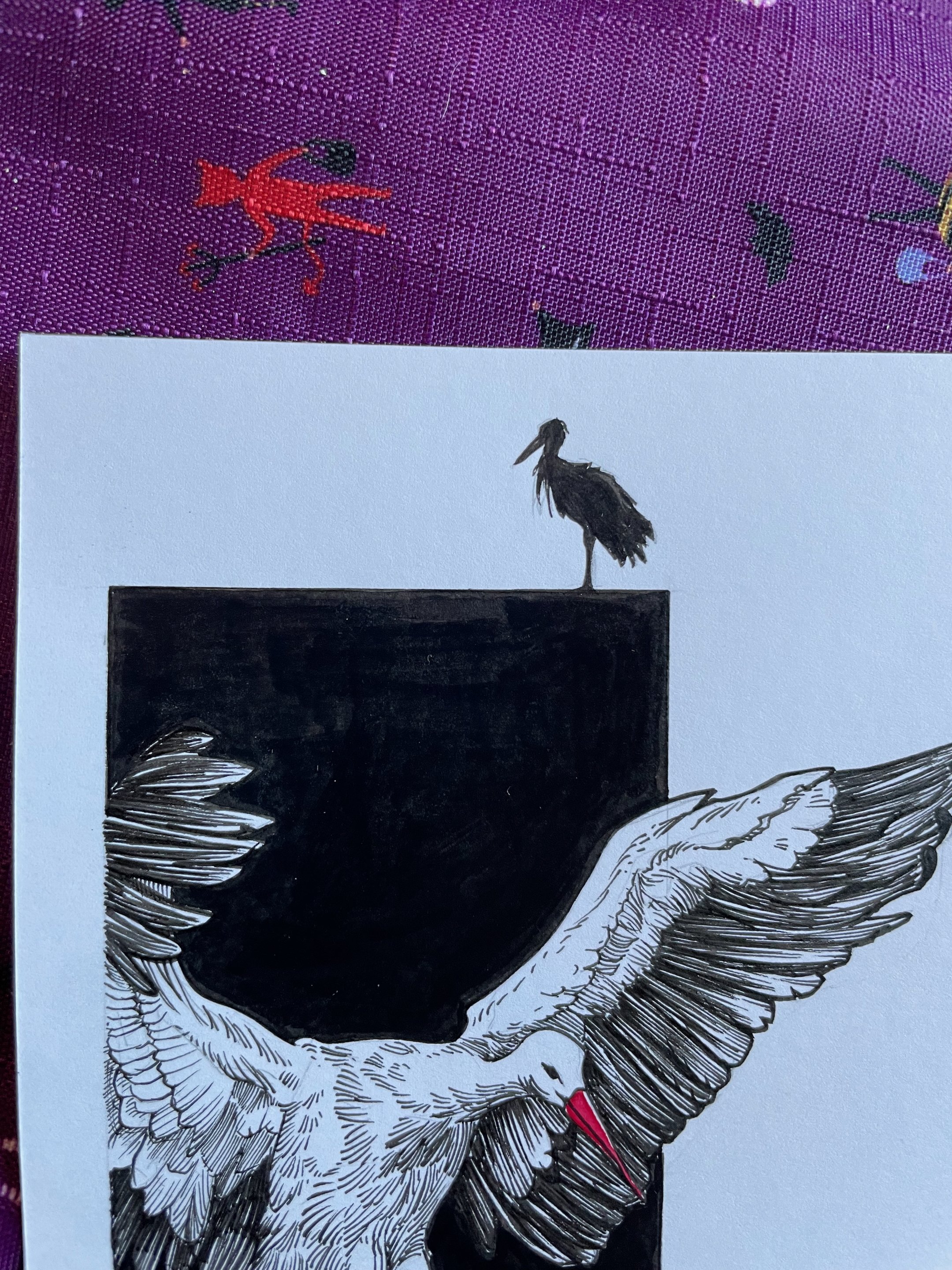 18.Stork - 5.jpeg