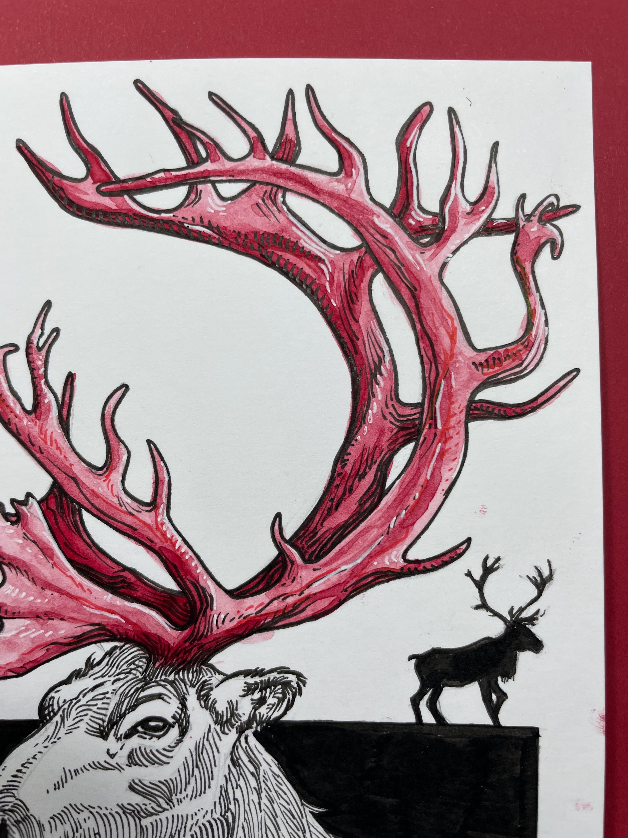 23.Caribou - 6.jpeg
